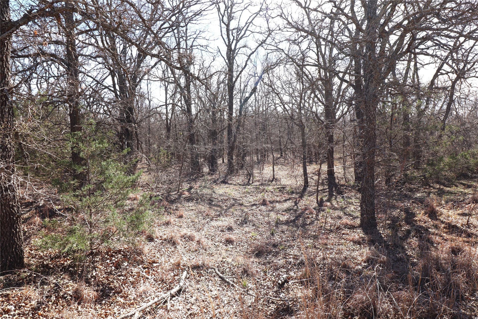 300 acres in Brown County - photo 18