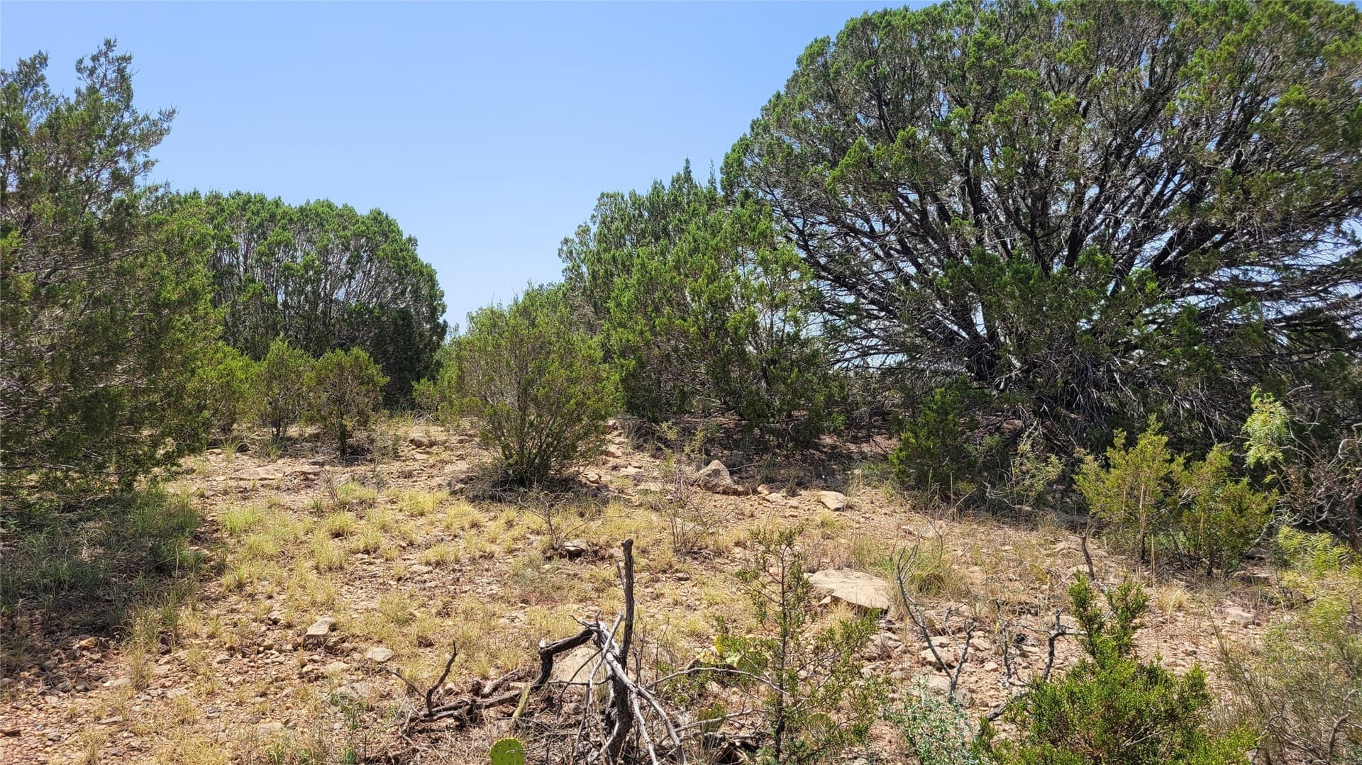 300 acres in Brown County - photo 34