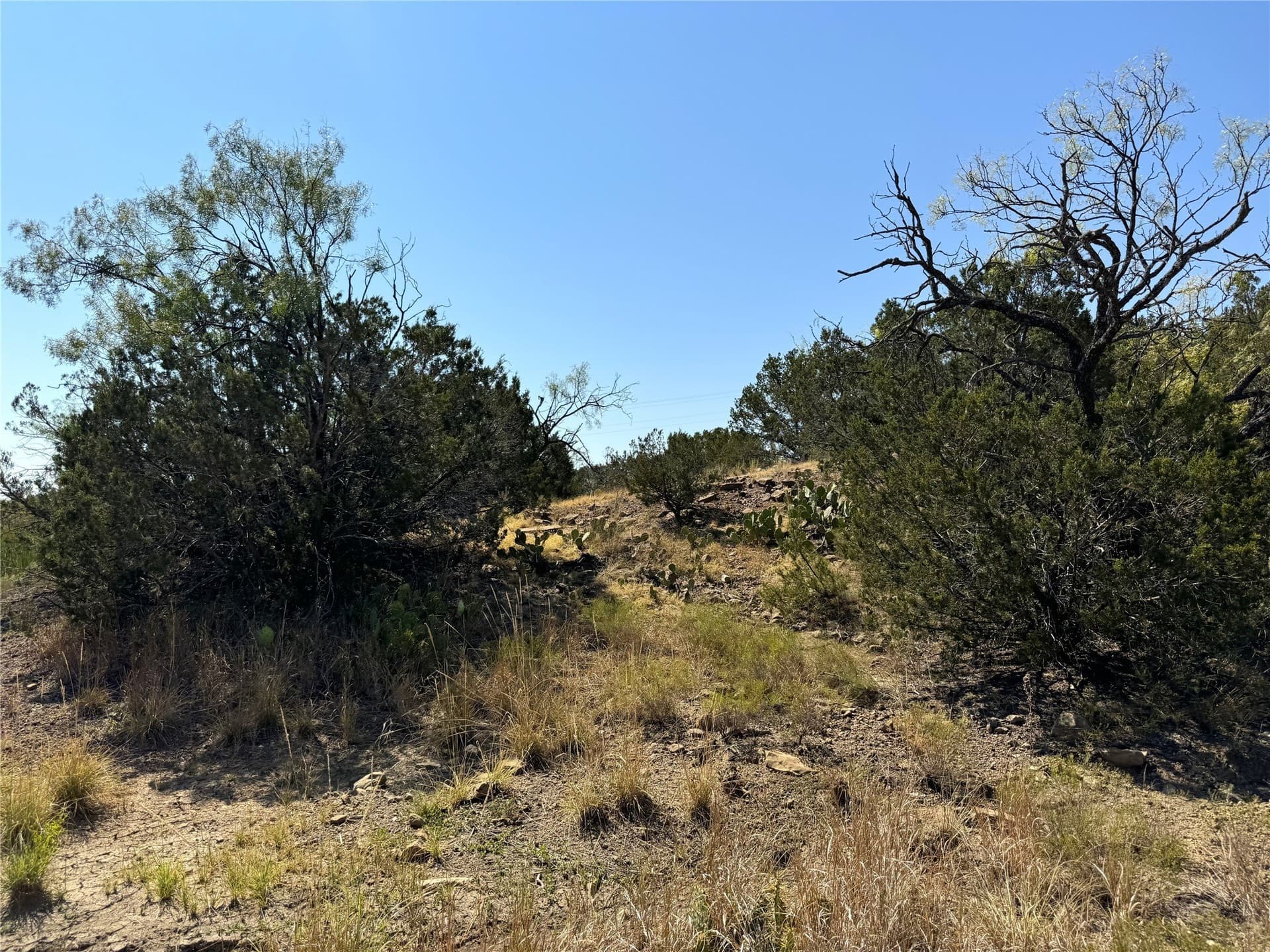 300 acres in Brown County - photo 36