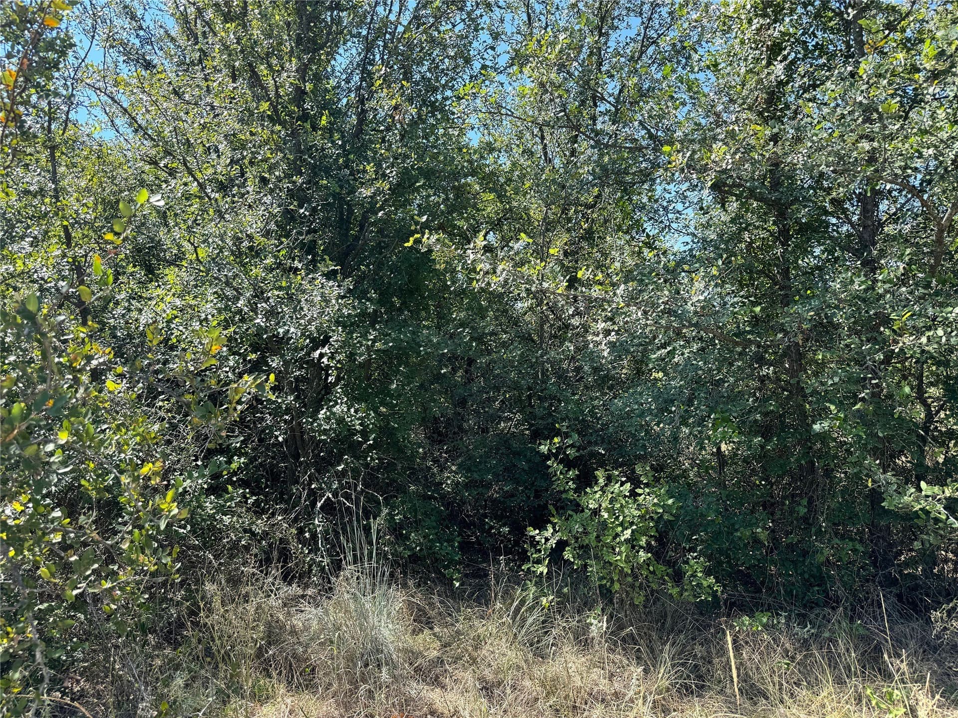 300 acres in Brown County - photo 37