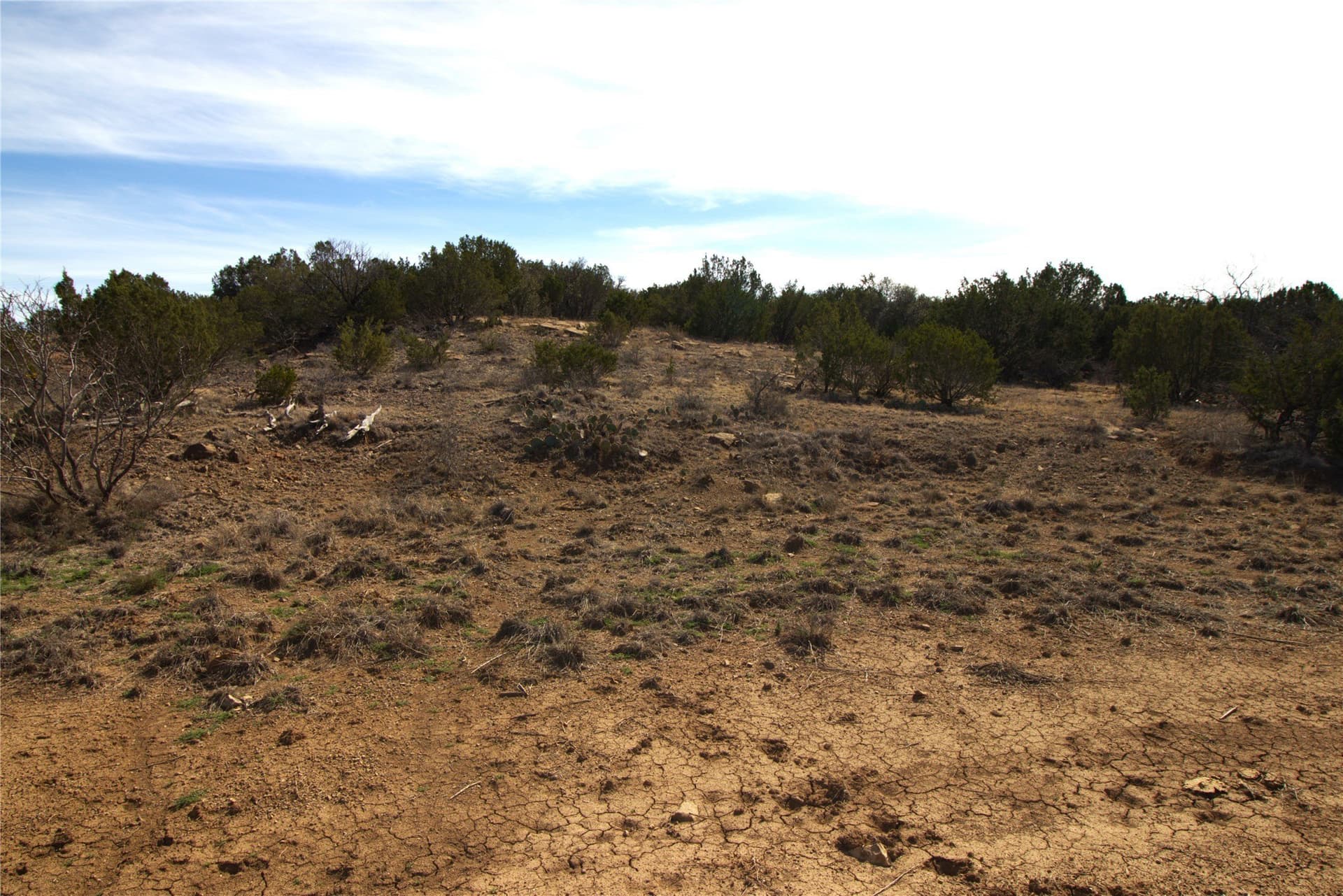 300 acres in Brown County - photo 28