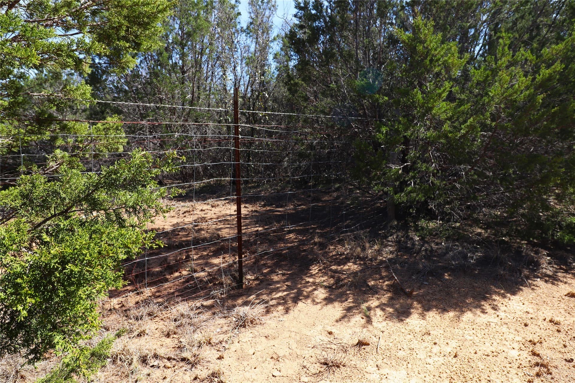 300 acres in Brown County - photo 8
