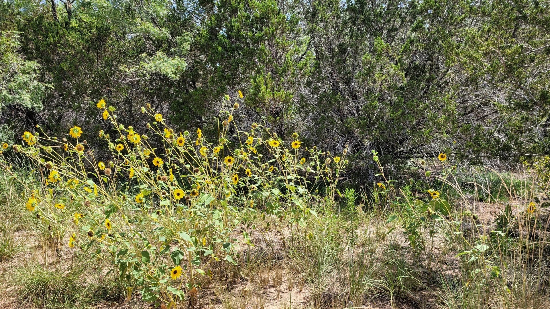 300 acres in Brown County - photo 32