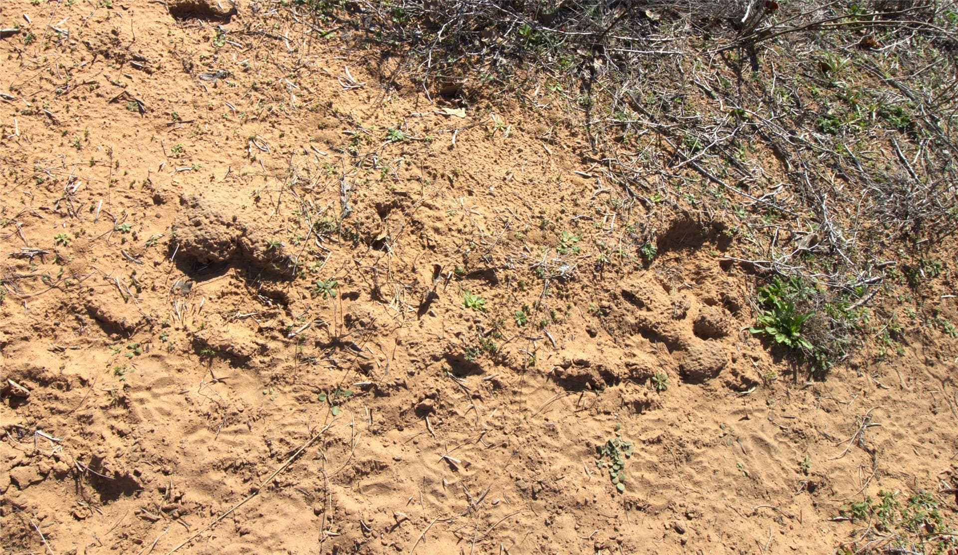 300 acres in Brown County - photo 14