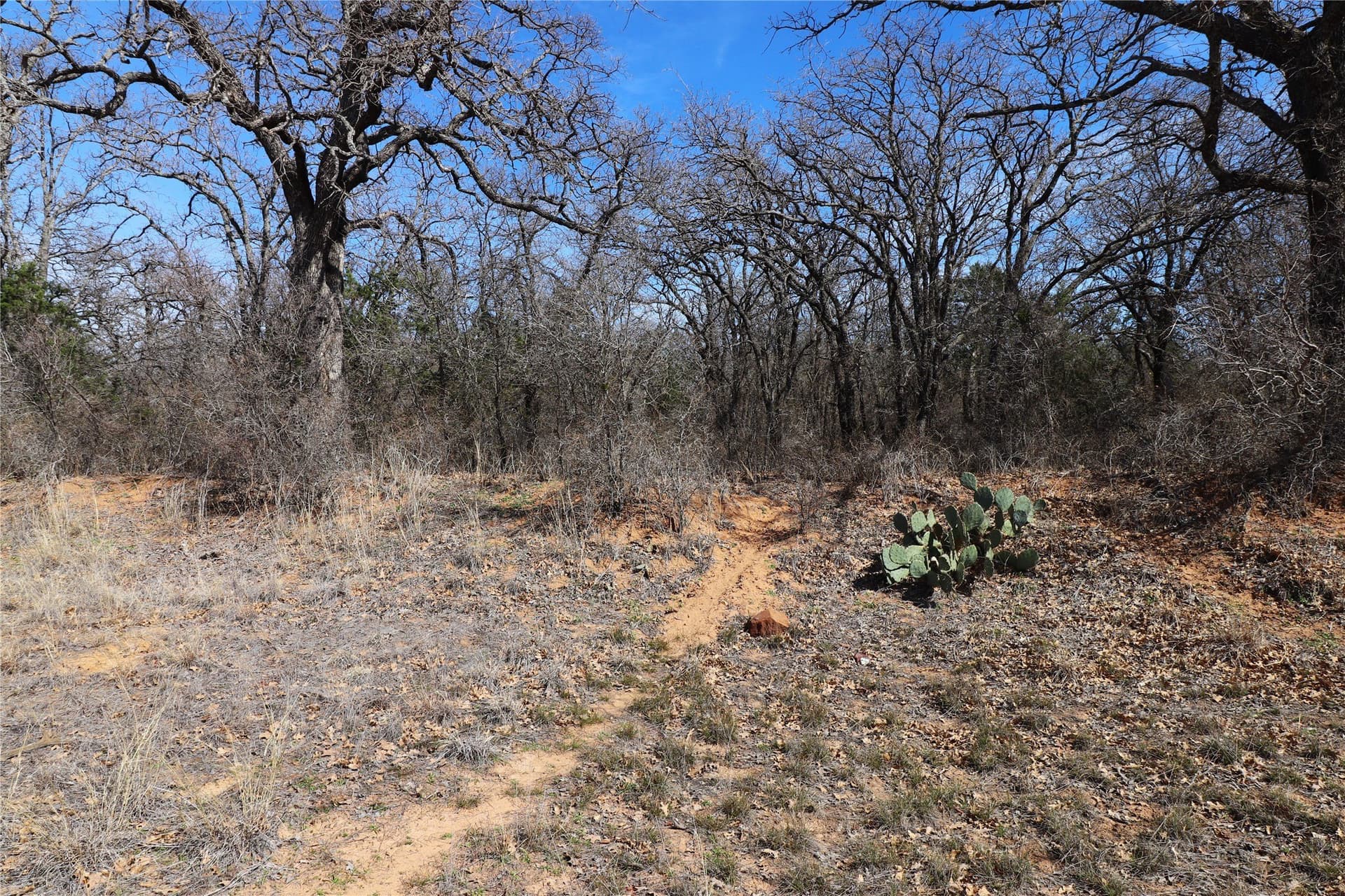 300 acres in Brown County - photo 12