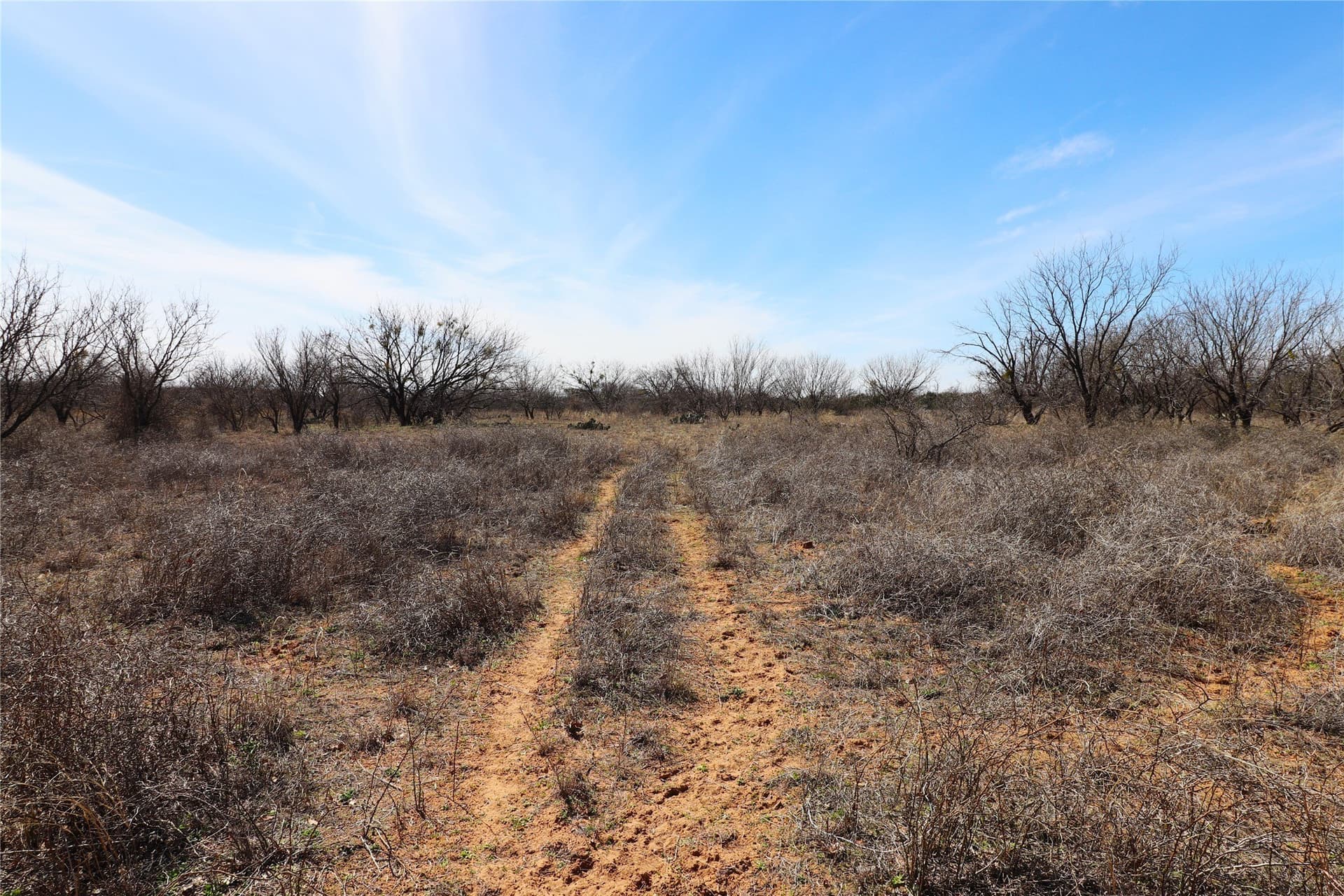 300 acres in Brown County - photo 13