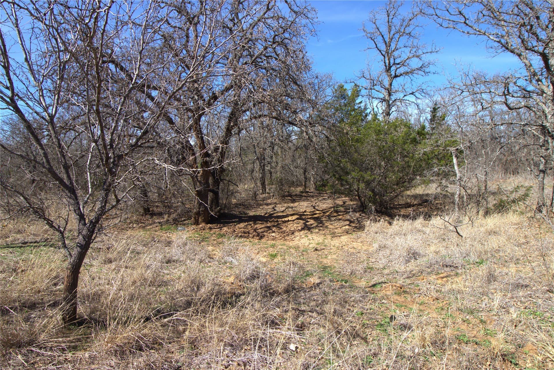300 acres in Brown County - photo 20