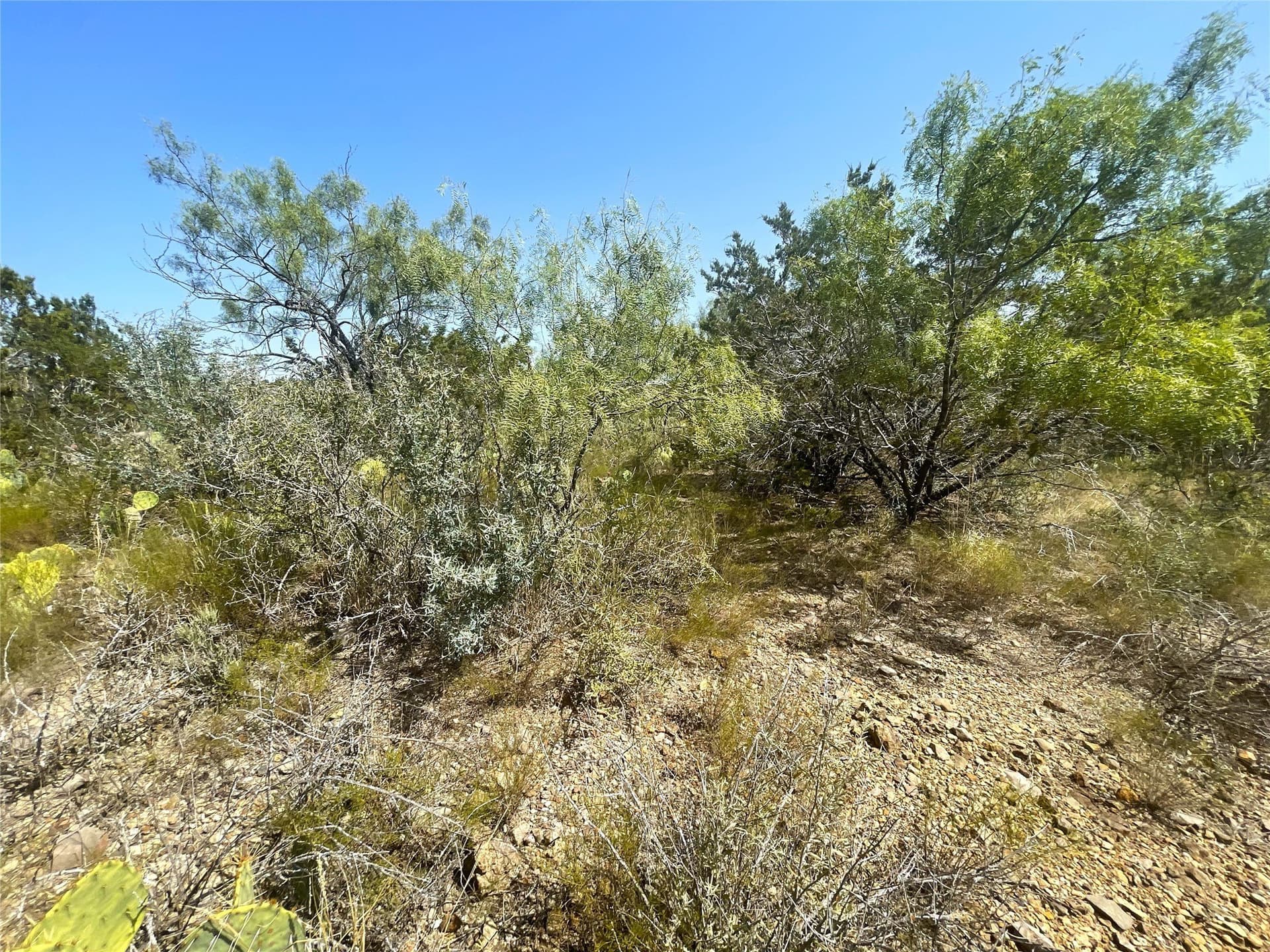 300 acres in Brown County - photo 38