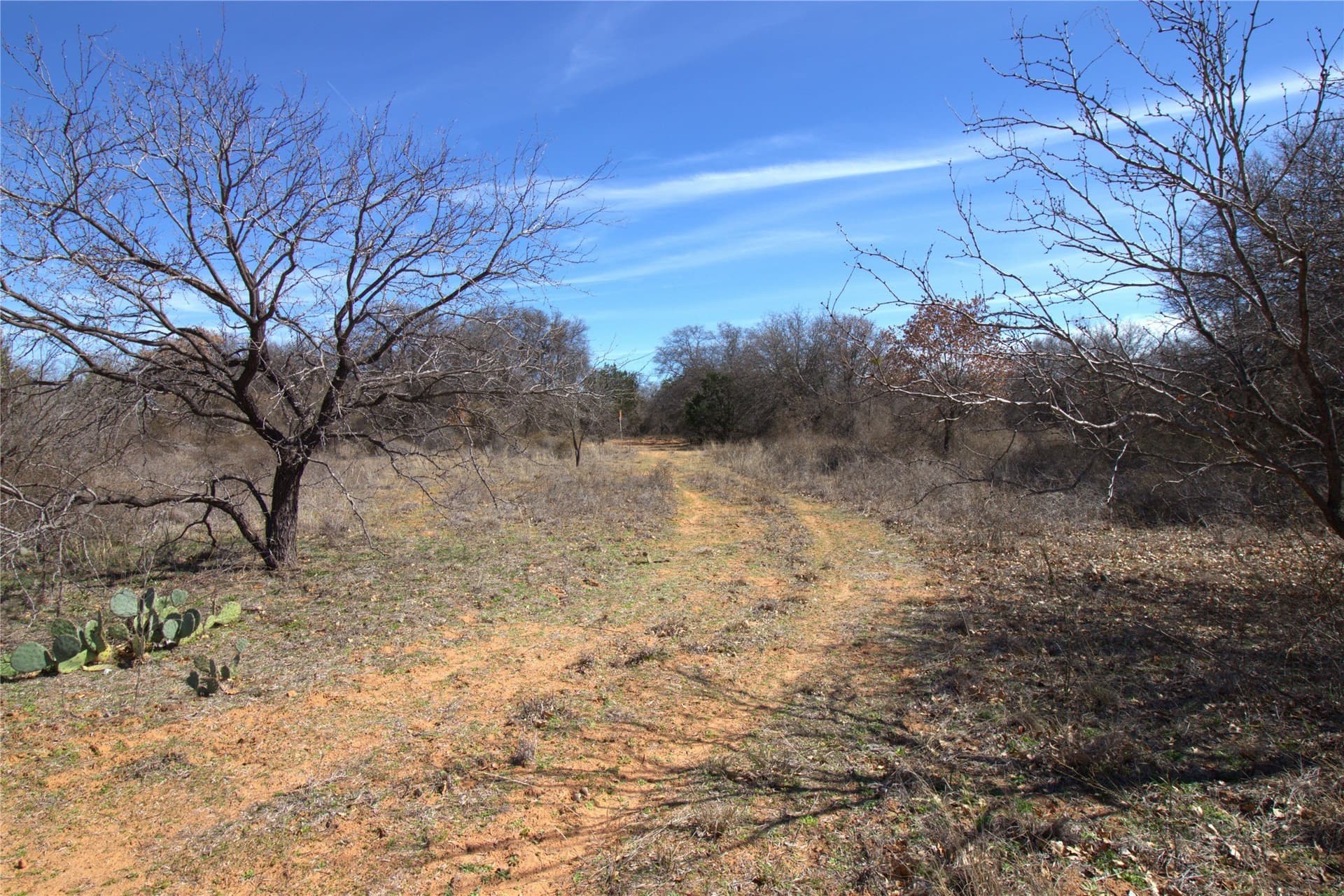 300 acres in Brown County - photo 17