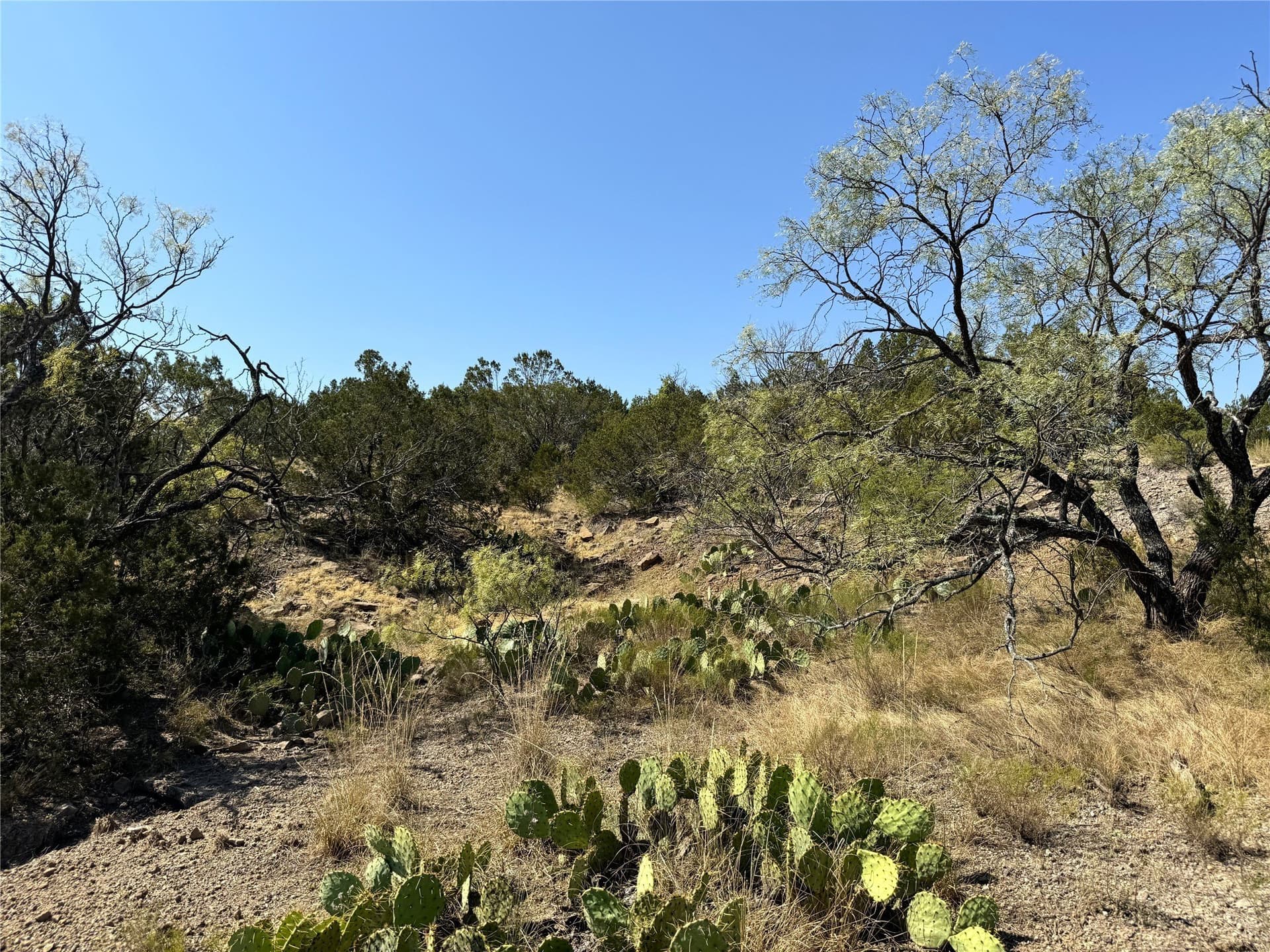 300 acres in Brown County - photo 35