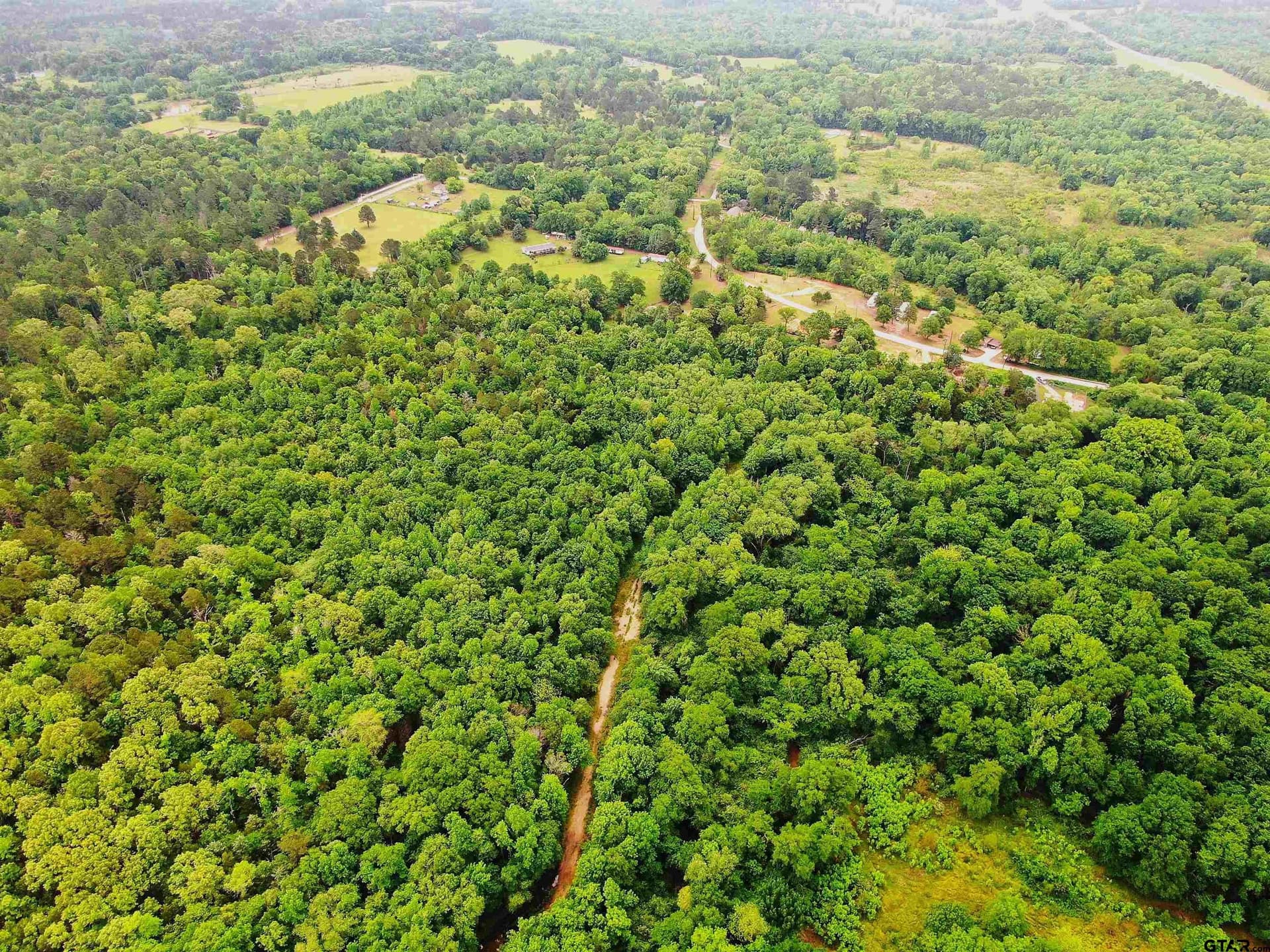 23.81 acres in Smith County gallery image 3