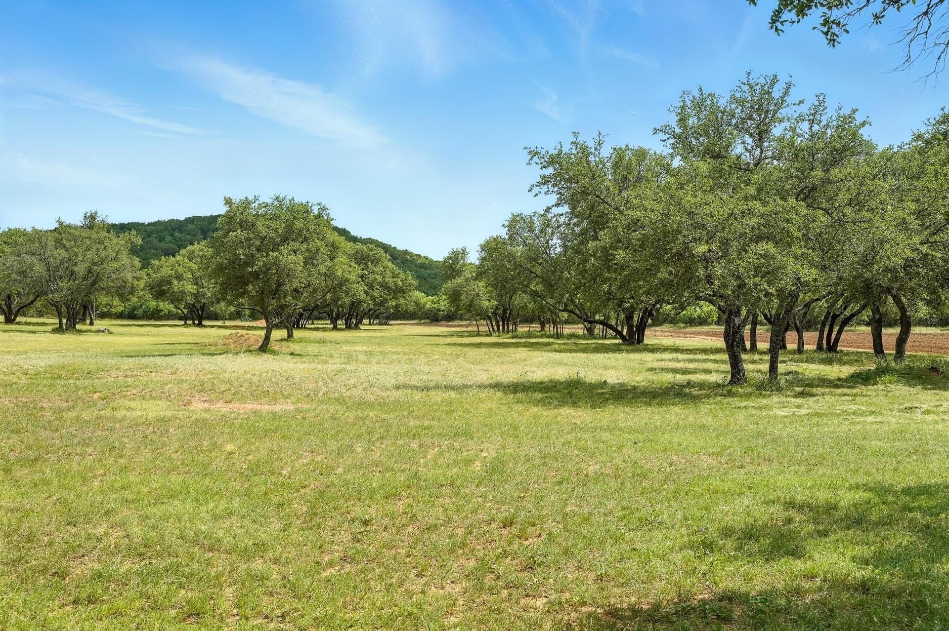 554.5 acres in Runnels County - photo 33