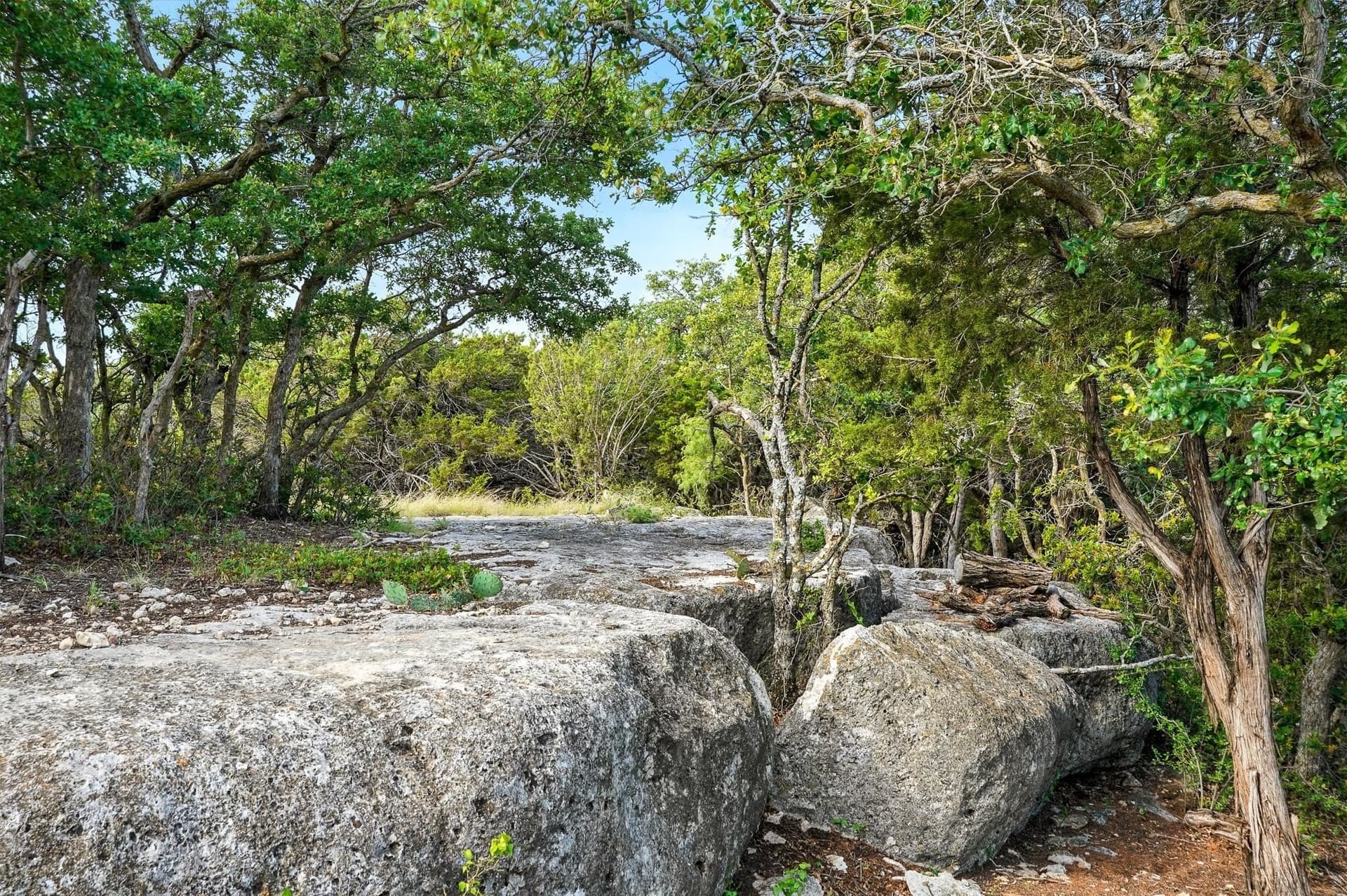 554.5 acres in Runnels County - photo 38