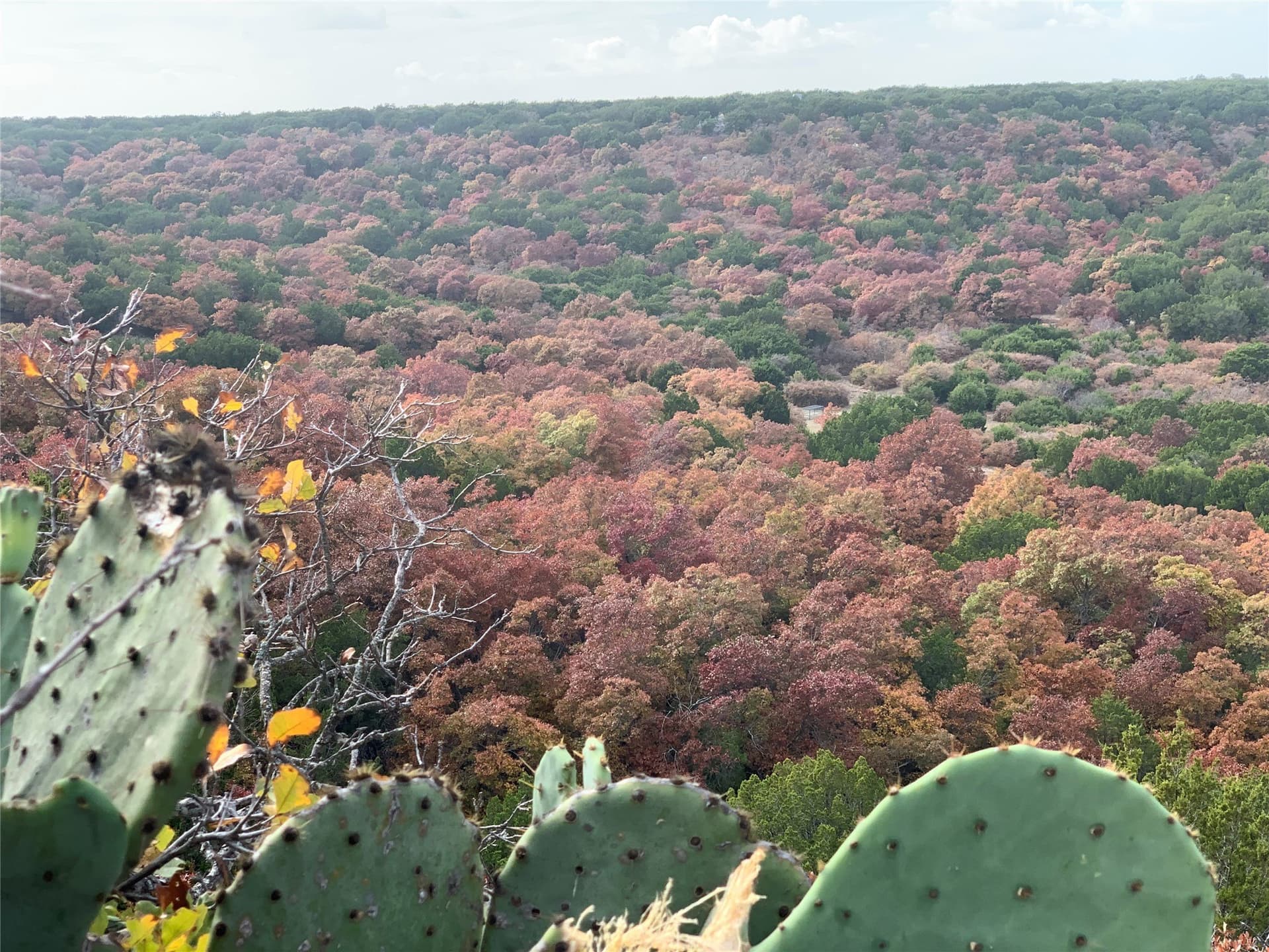 554.5 acres in Runnels County - photo 39
