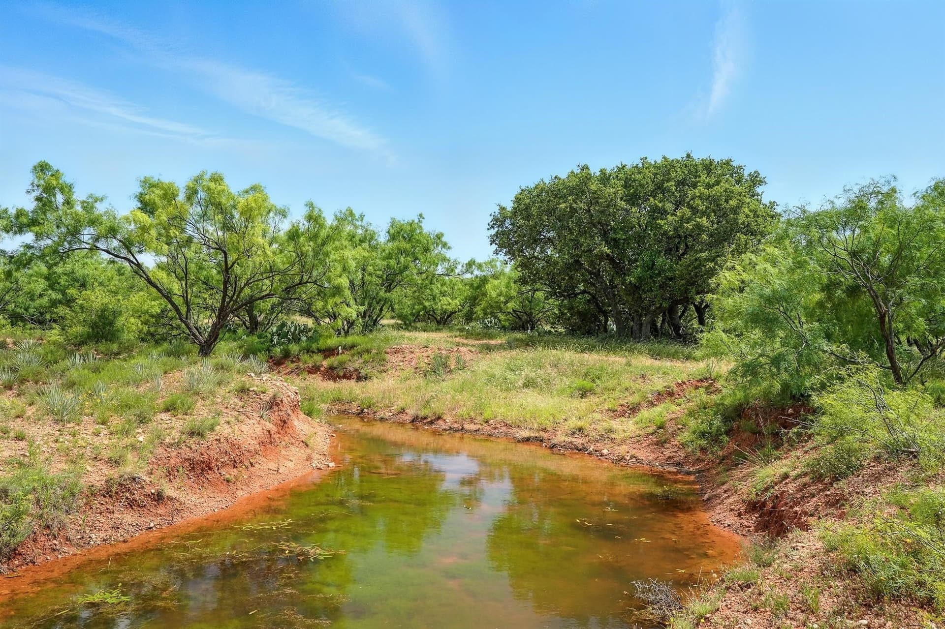 554.5 acres in Runnels County - photo 6