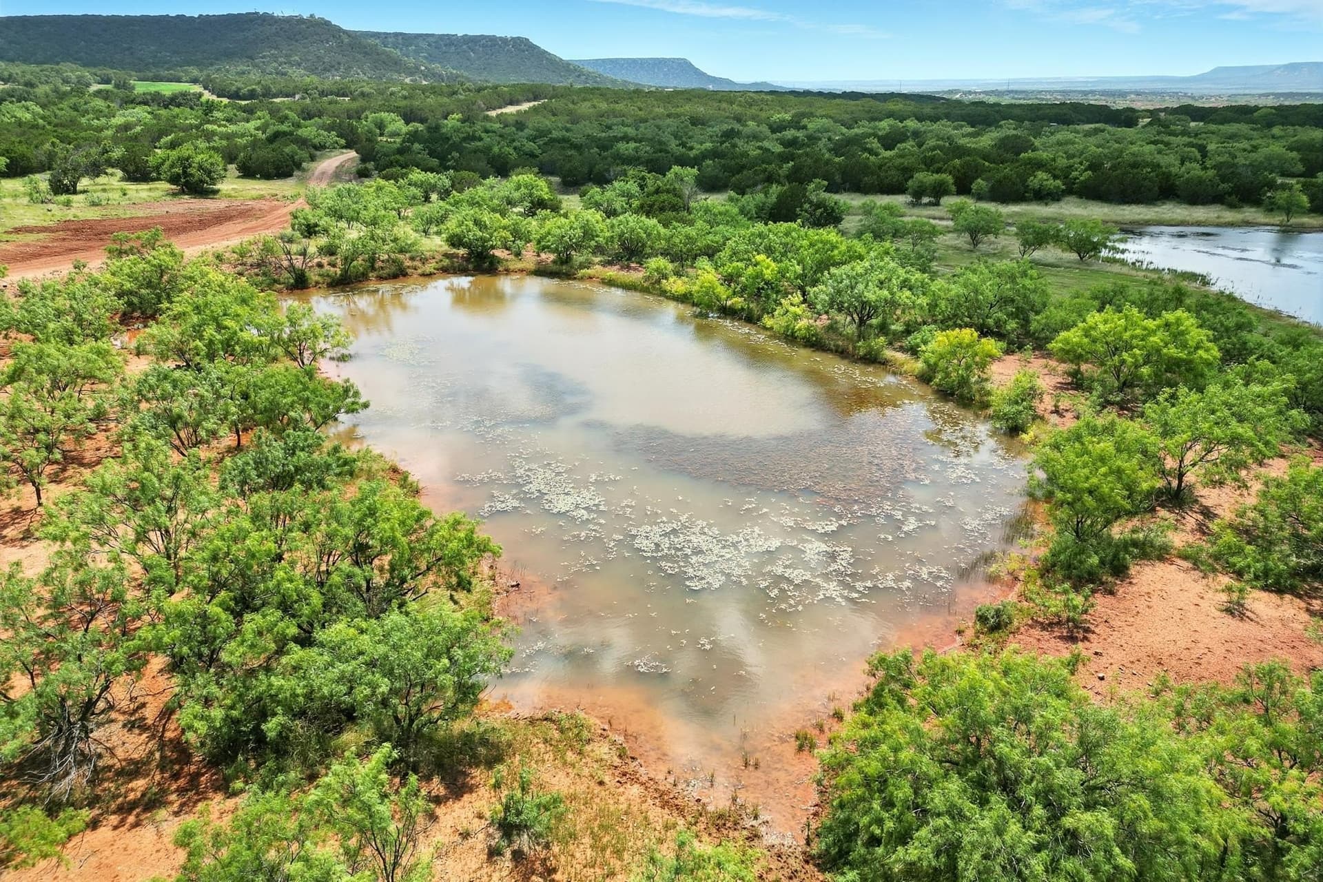 554.5 acres in Runnels County - photo 29