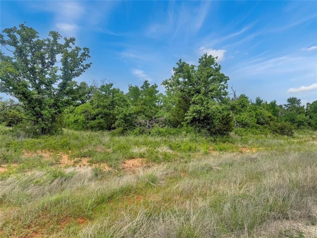 17.34 acres in Erath County featured view