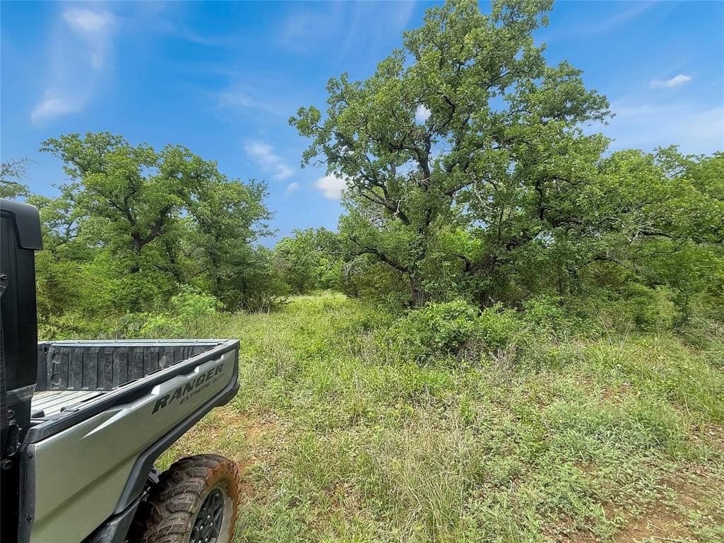 17.34 acres in Erath County gallery image 4