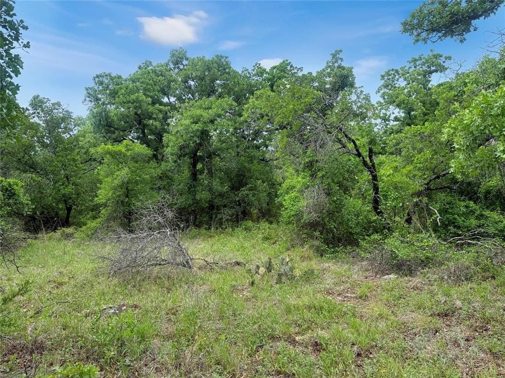 17.34 acres in Erath County gallery image 2