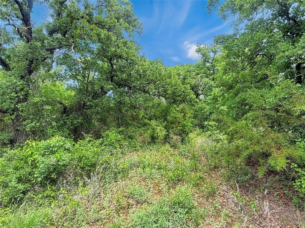 17.34 acres in Erath County gallery image 3