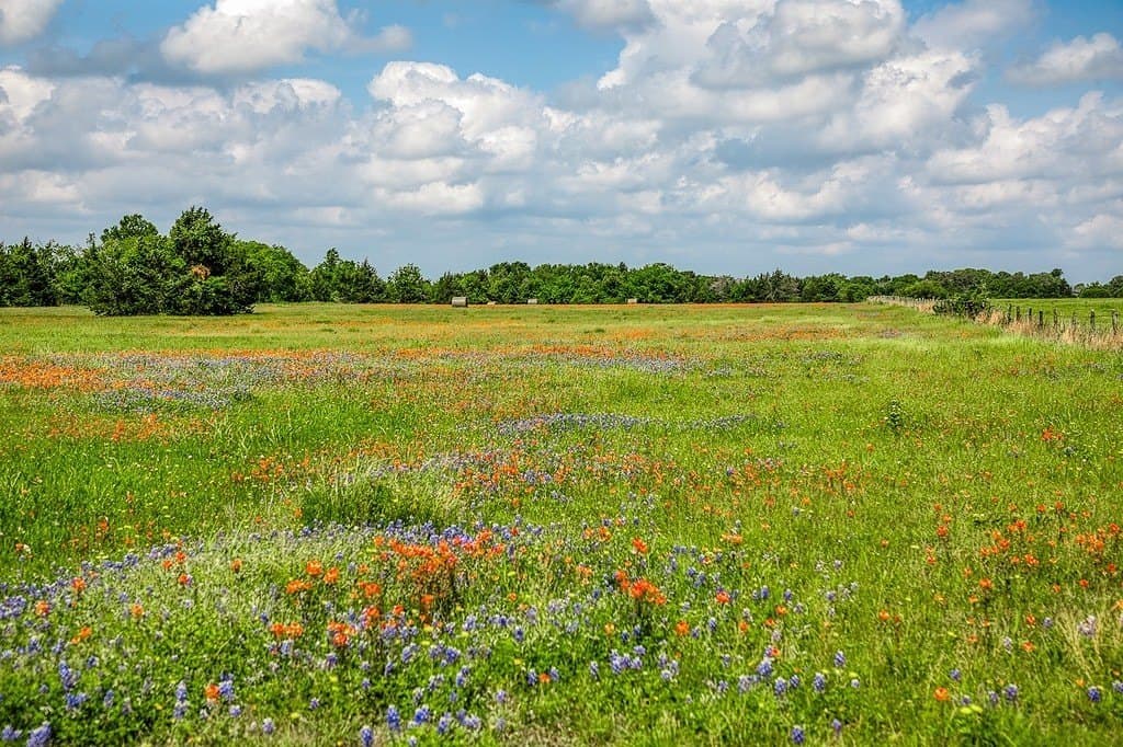 28 acres in Washington County gallery image 4