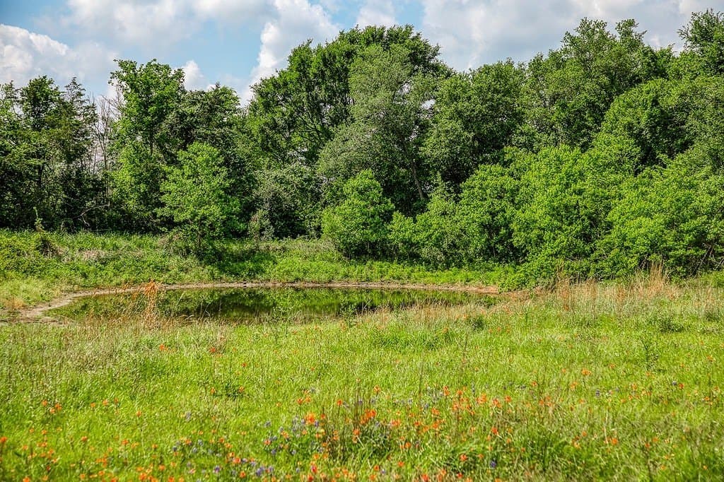 28 acres in Washington County - photo 8