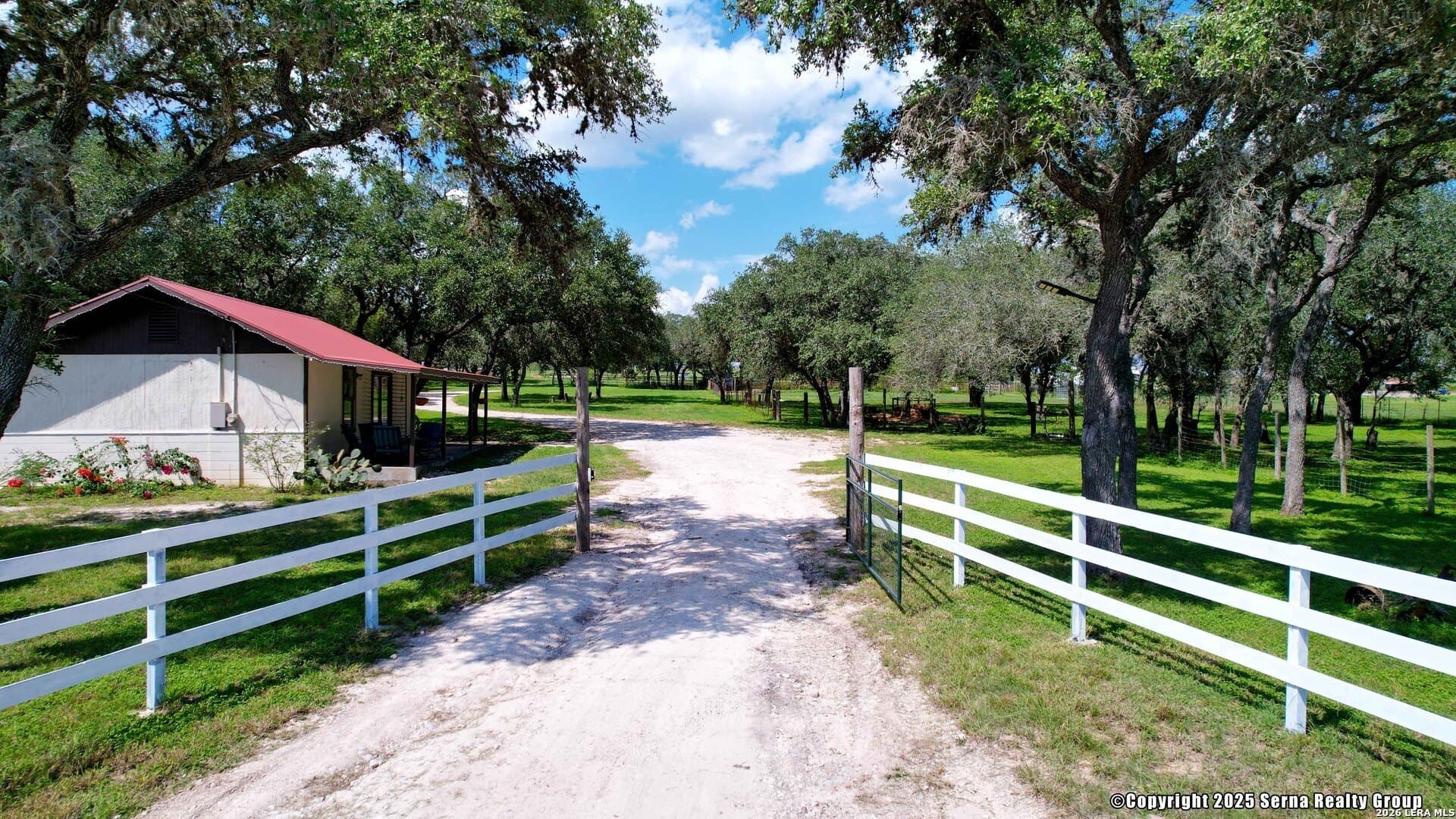 10 acres in Bee County - photo 6