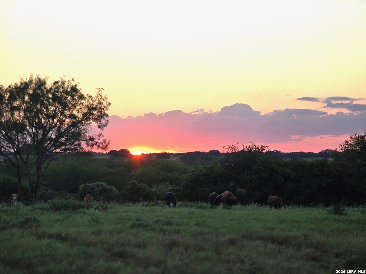 10 acres in Bee County - photo 29