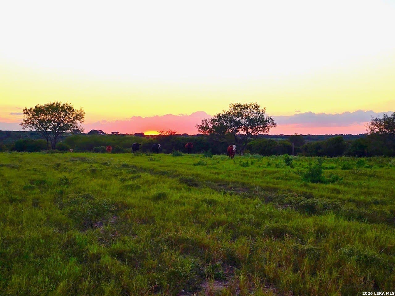 10 acres in Bee County - photo 39