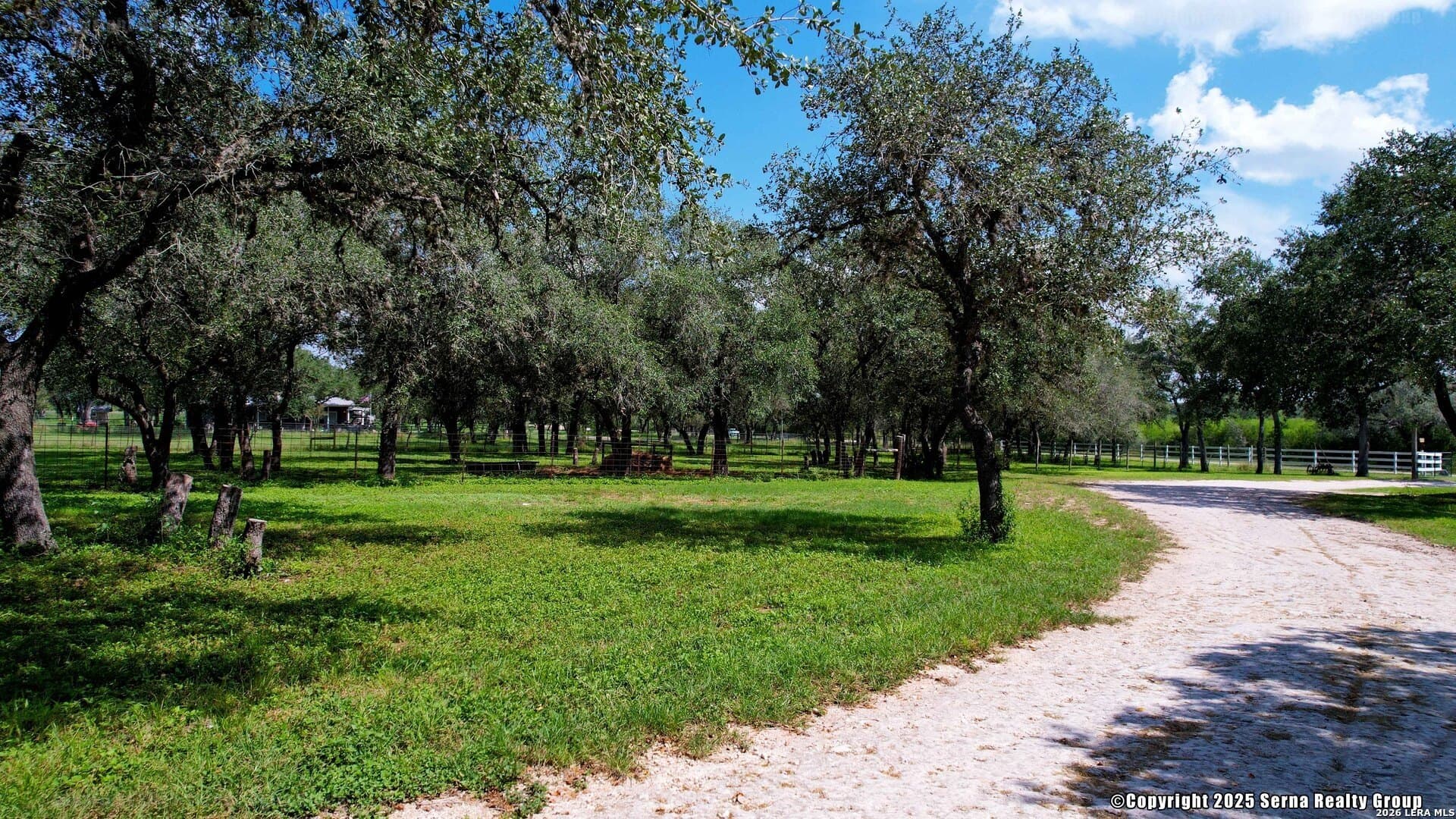 10 acres in Bee County - photo 41