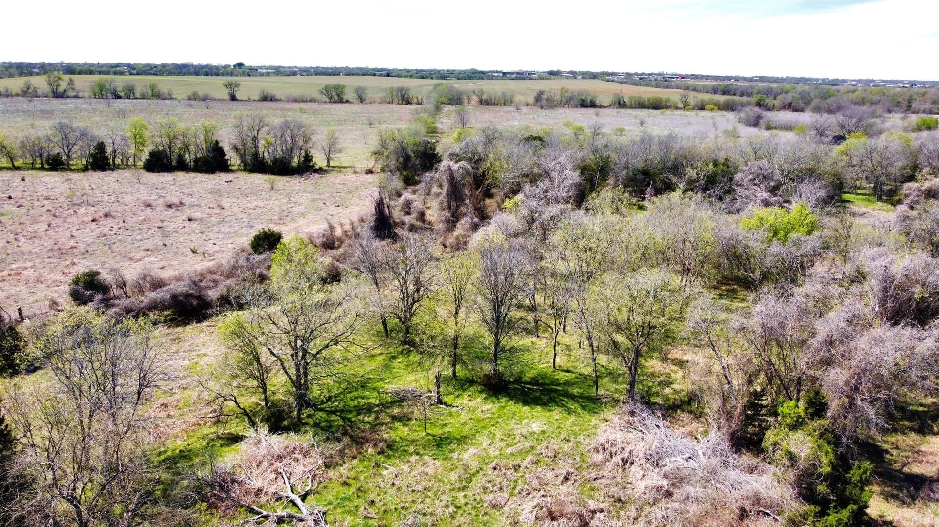 128 acres in McLennan County - photo 10