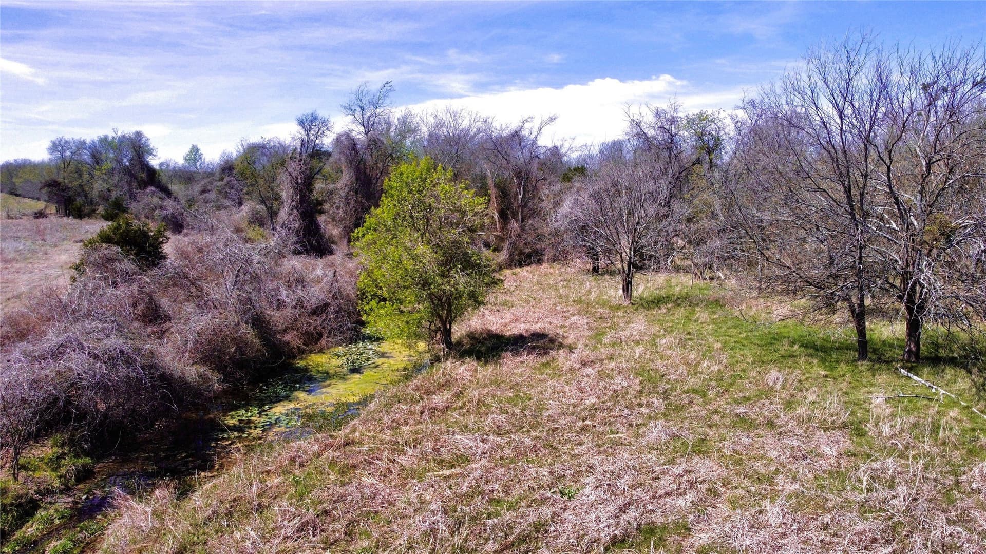 128 acres in McLennan County - photo 4