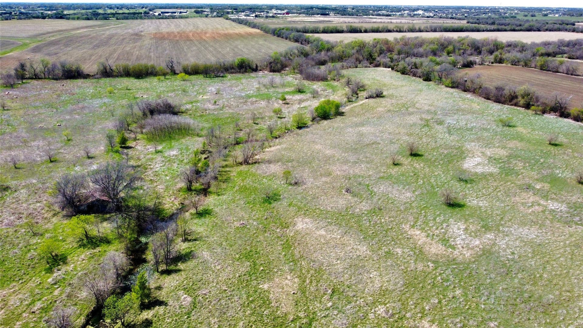 128 acres in McLennan County - photo 3