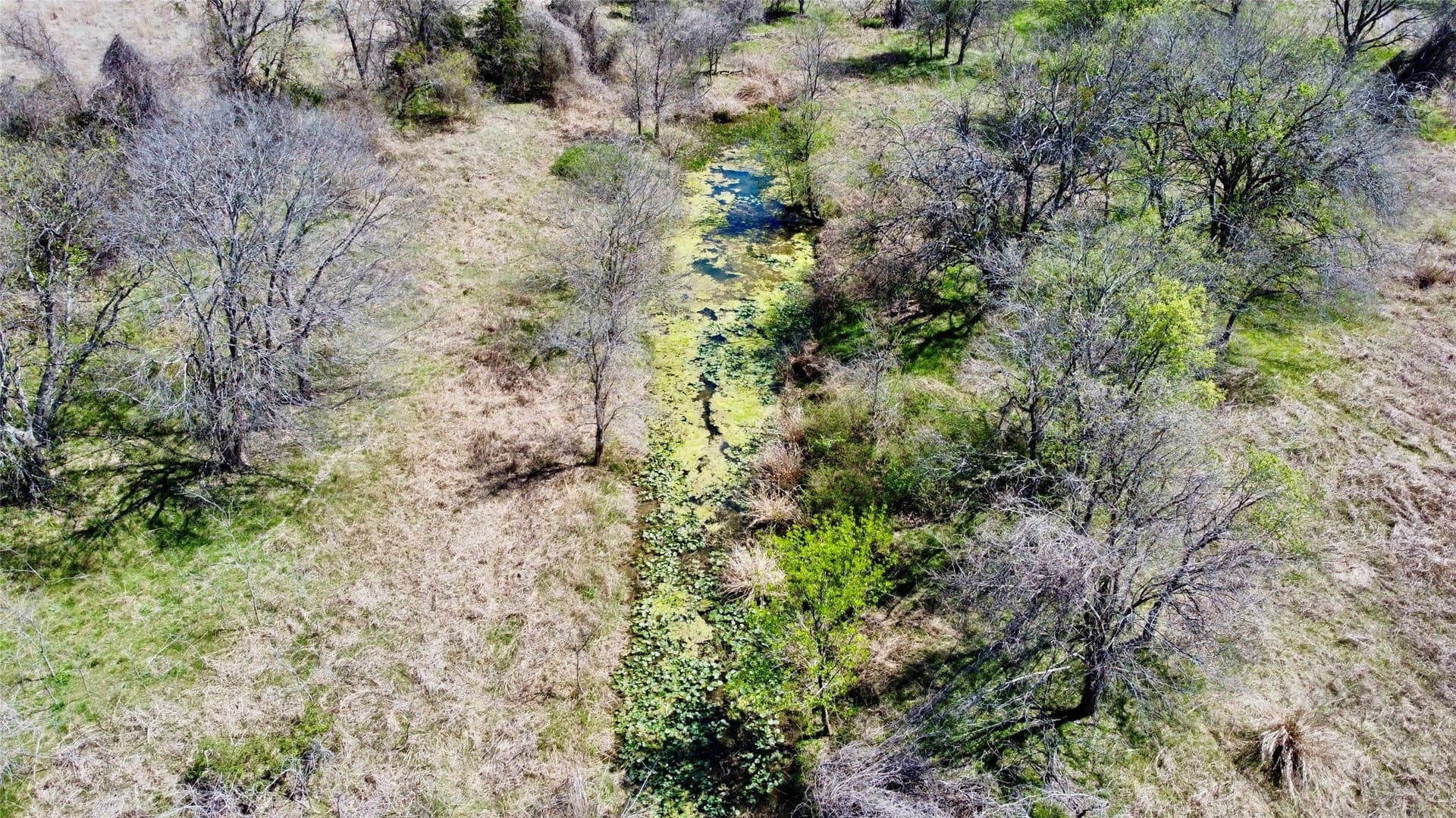 128 acres in McLennan County - photo 12