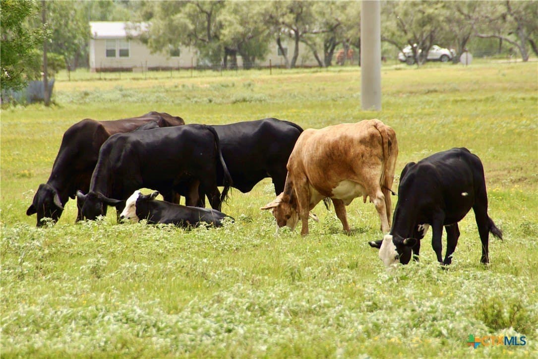 17.27 acres in Guadalupe County - photo 45