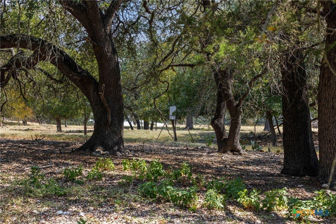 8.06 acres in Bell County - photo 18