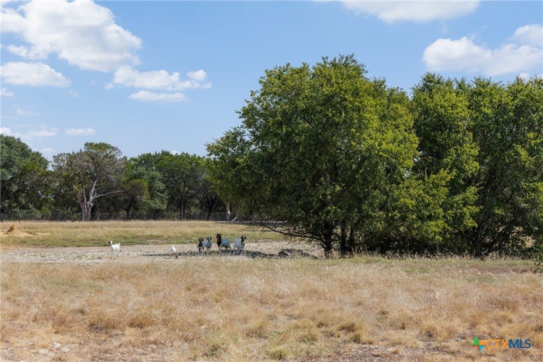 8.06 acres in Bell County - photo 10