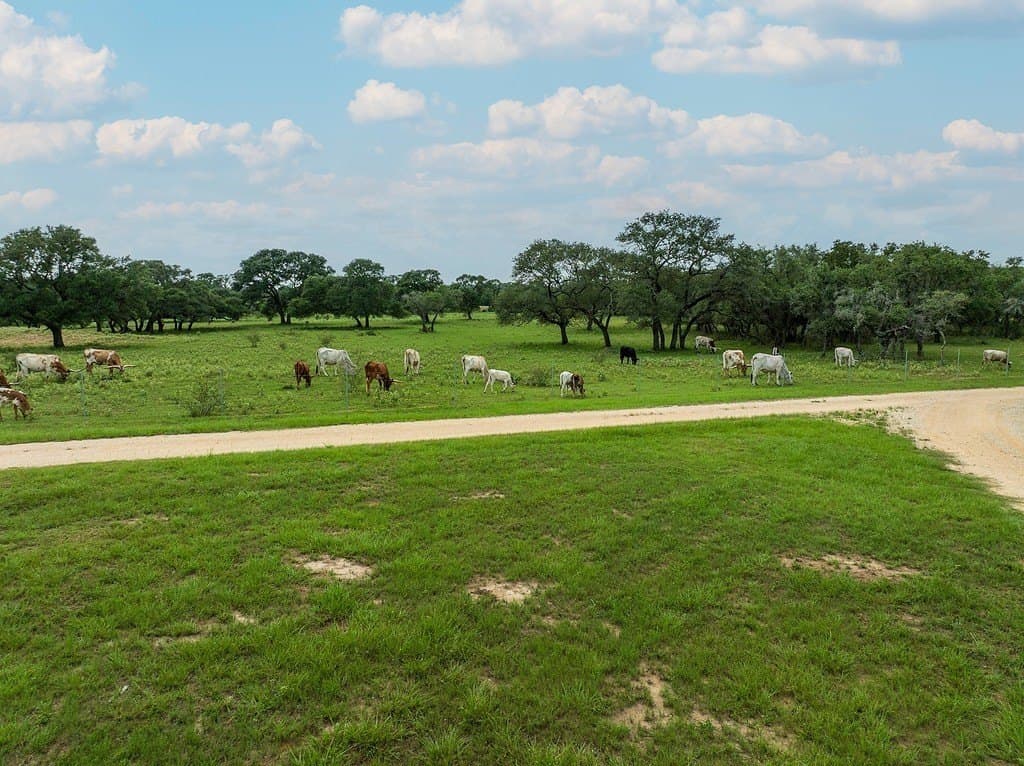 32 acres in Lavaca County - photo 13