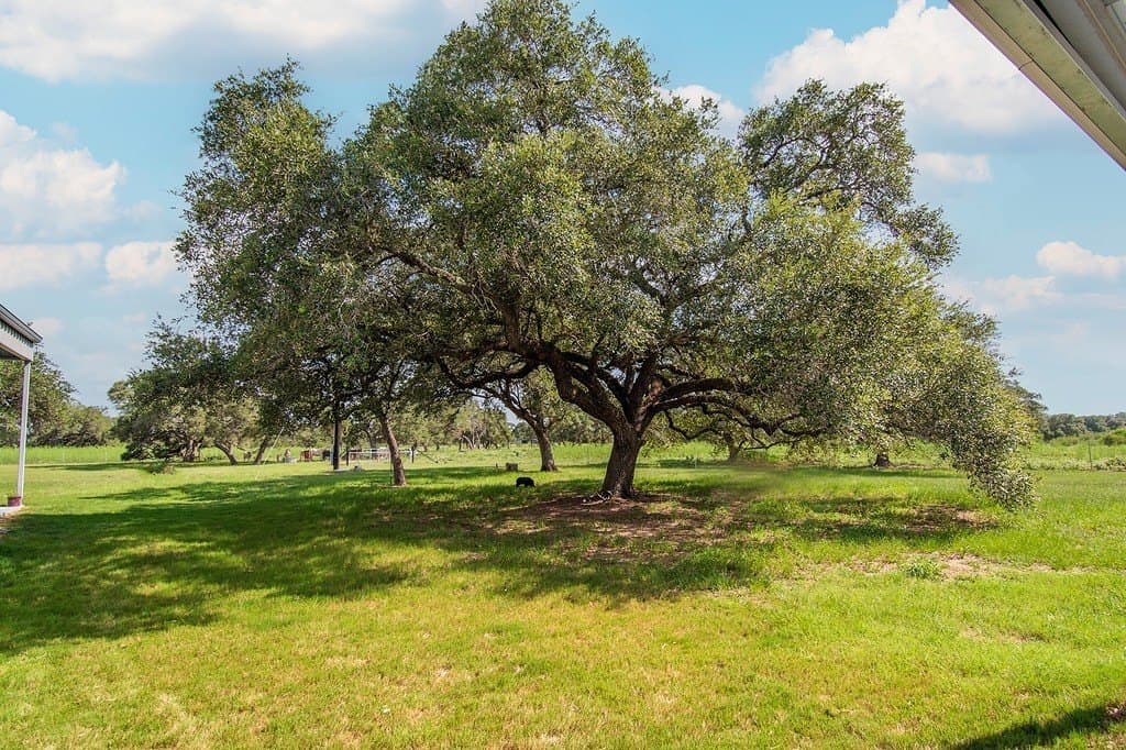 32 acres in Lavaca County - photo 11