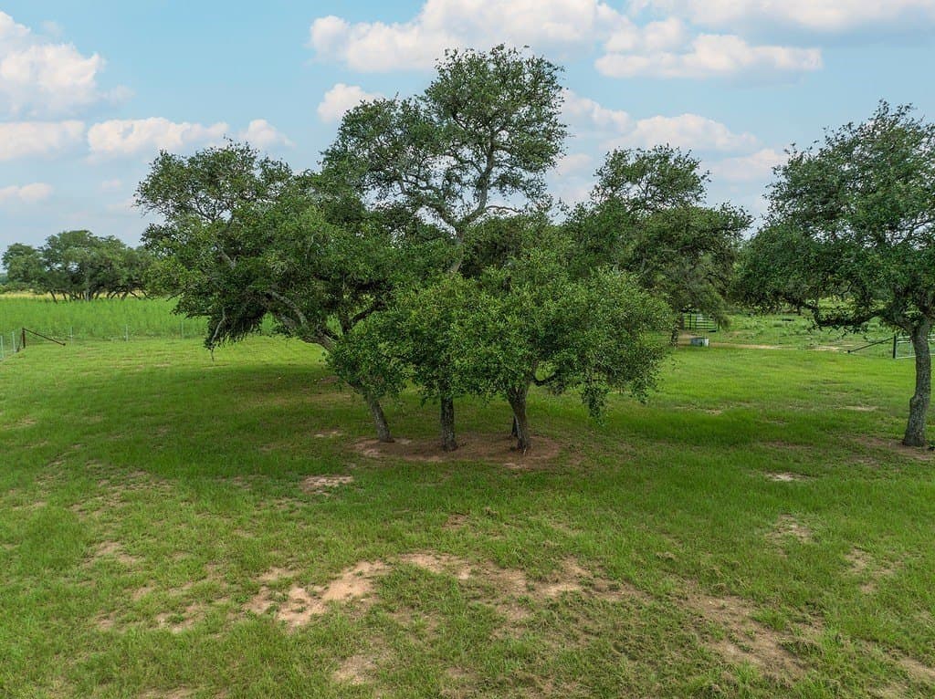 32 acres in Lavaca County - photo 12