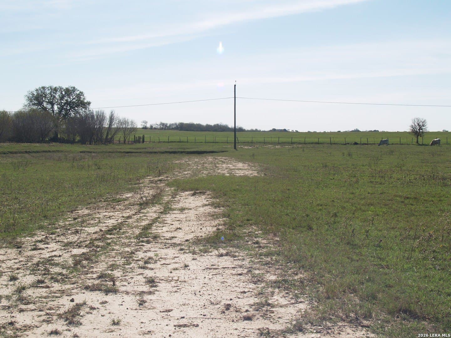 10 acres in Guadalupe County - photo 6