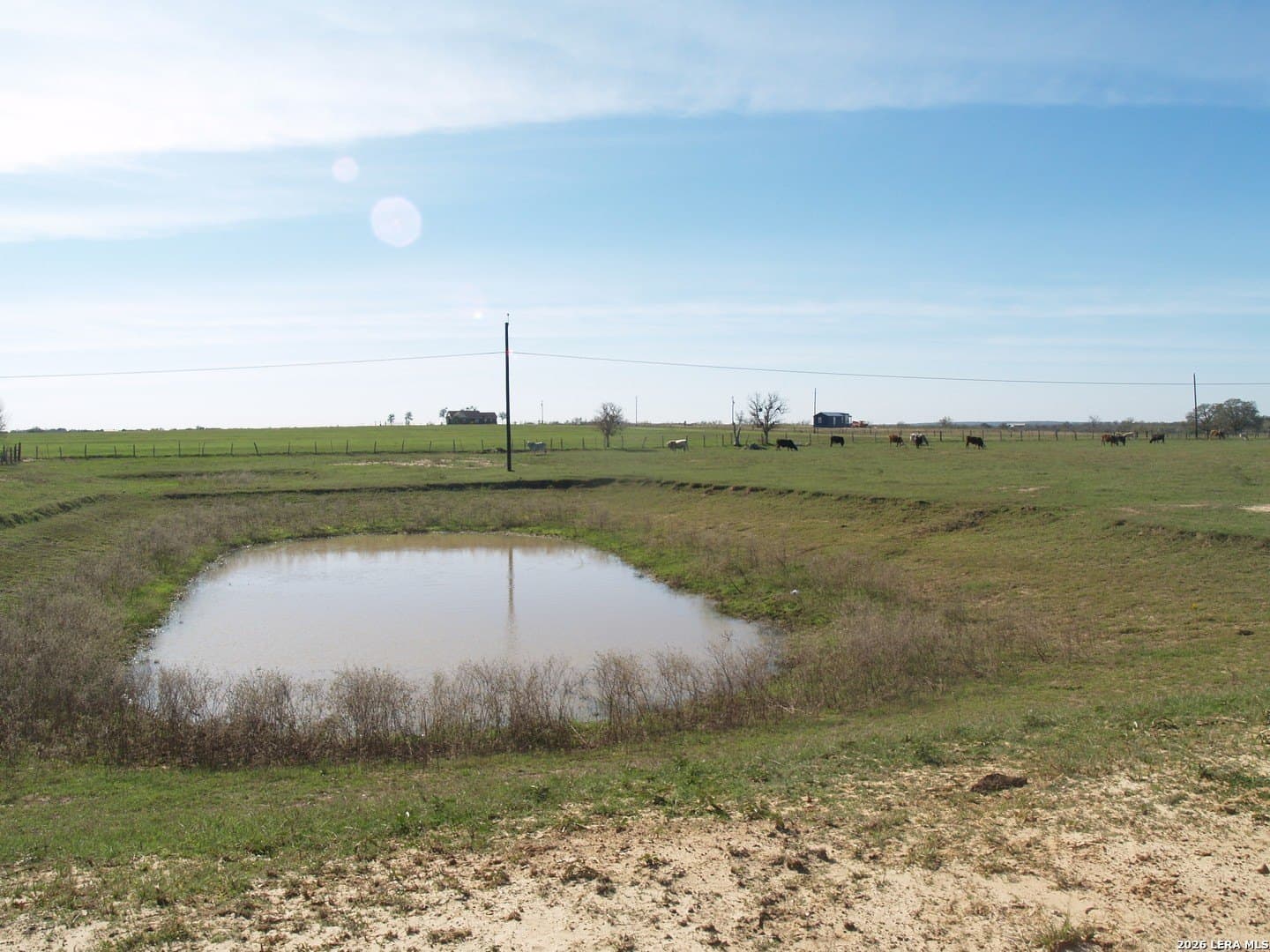 10 acres in Guadalupe County - photo 7
