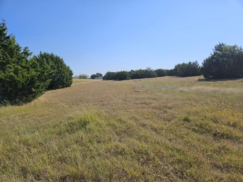 7.88 acres in Dallas County - photo 6