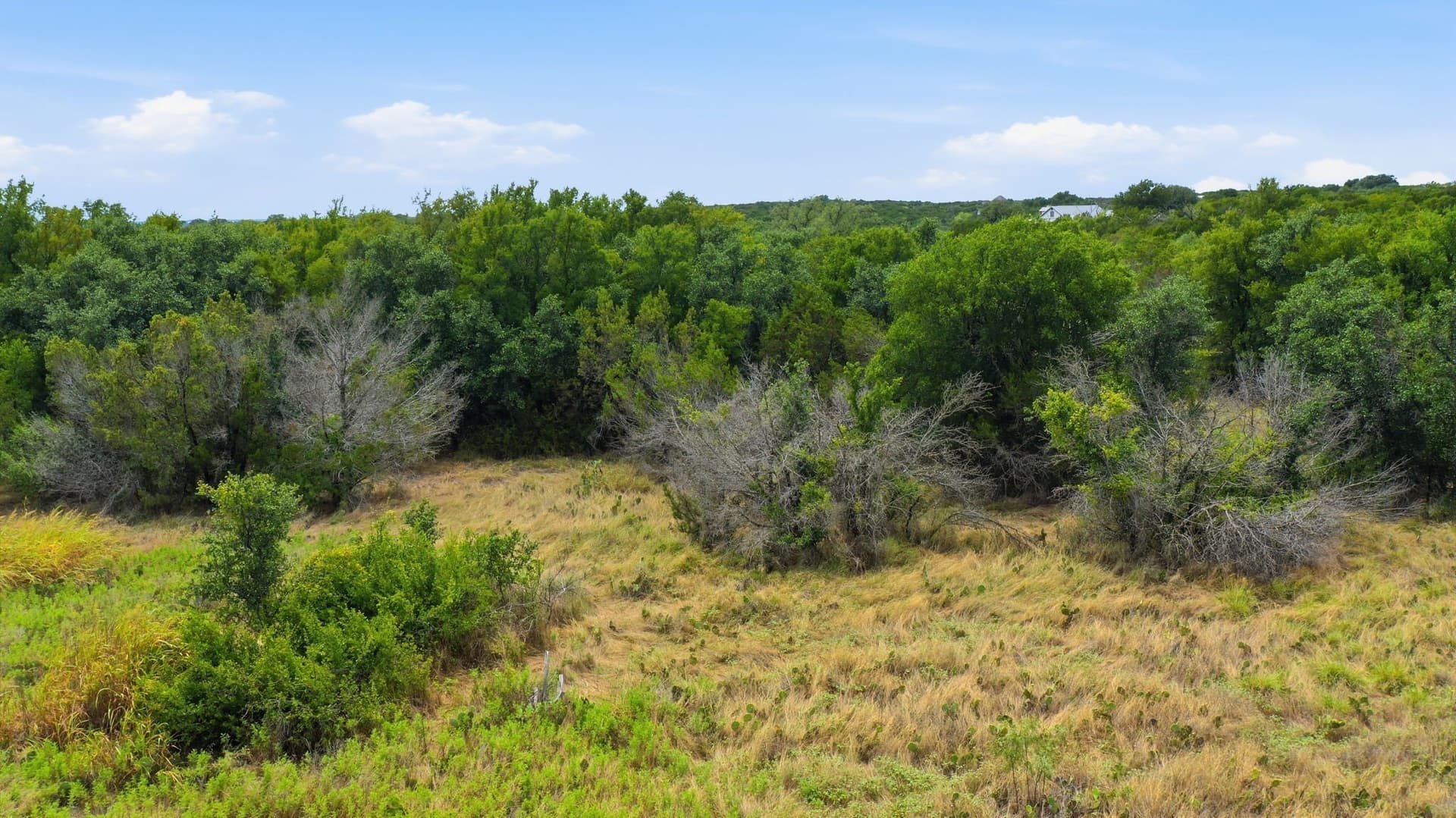 5.04 acres in Erath County - photo 6