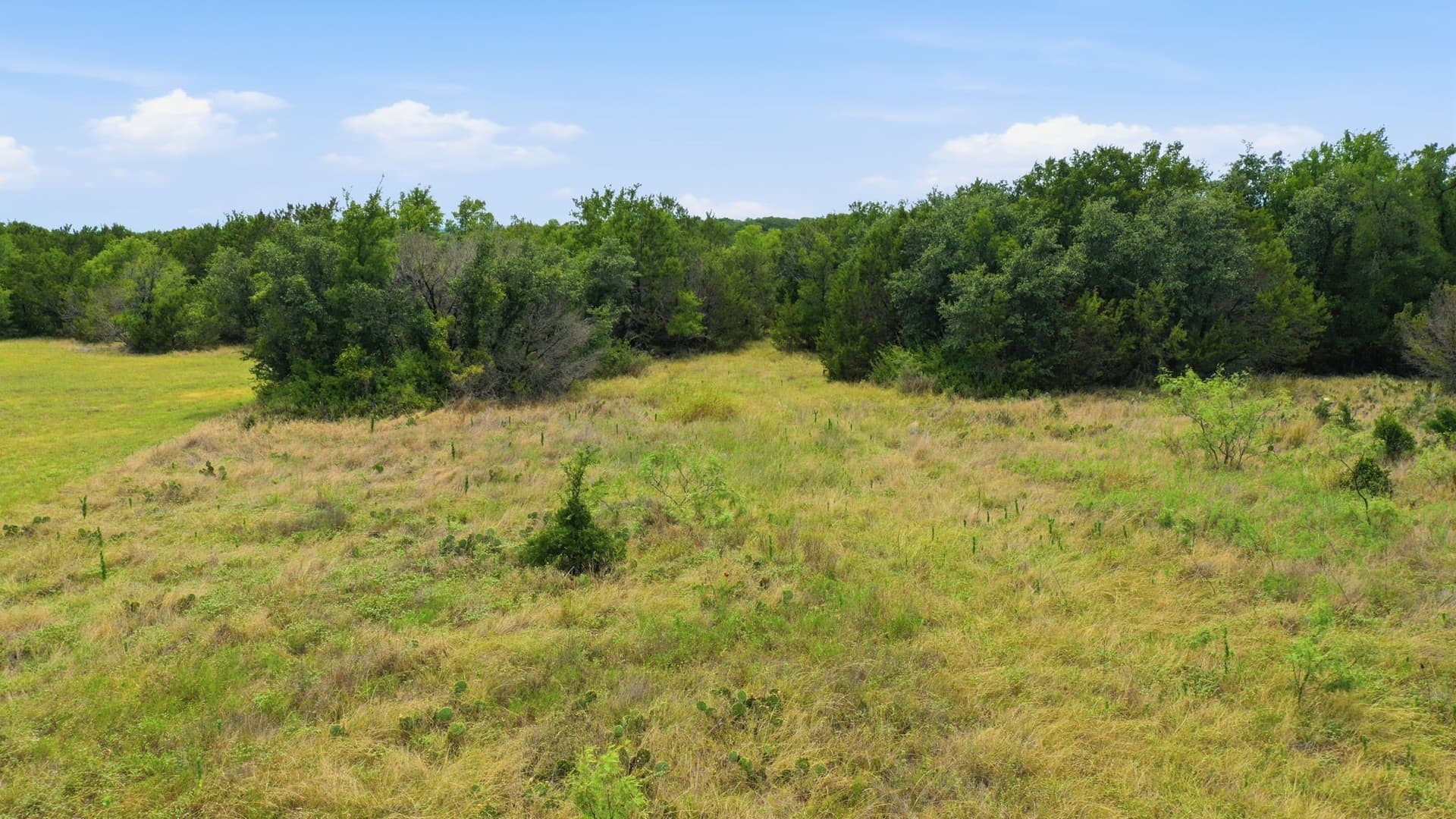 5.04 acres in Erath County - photo 8