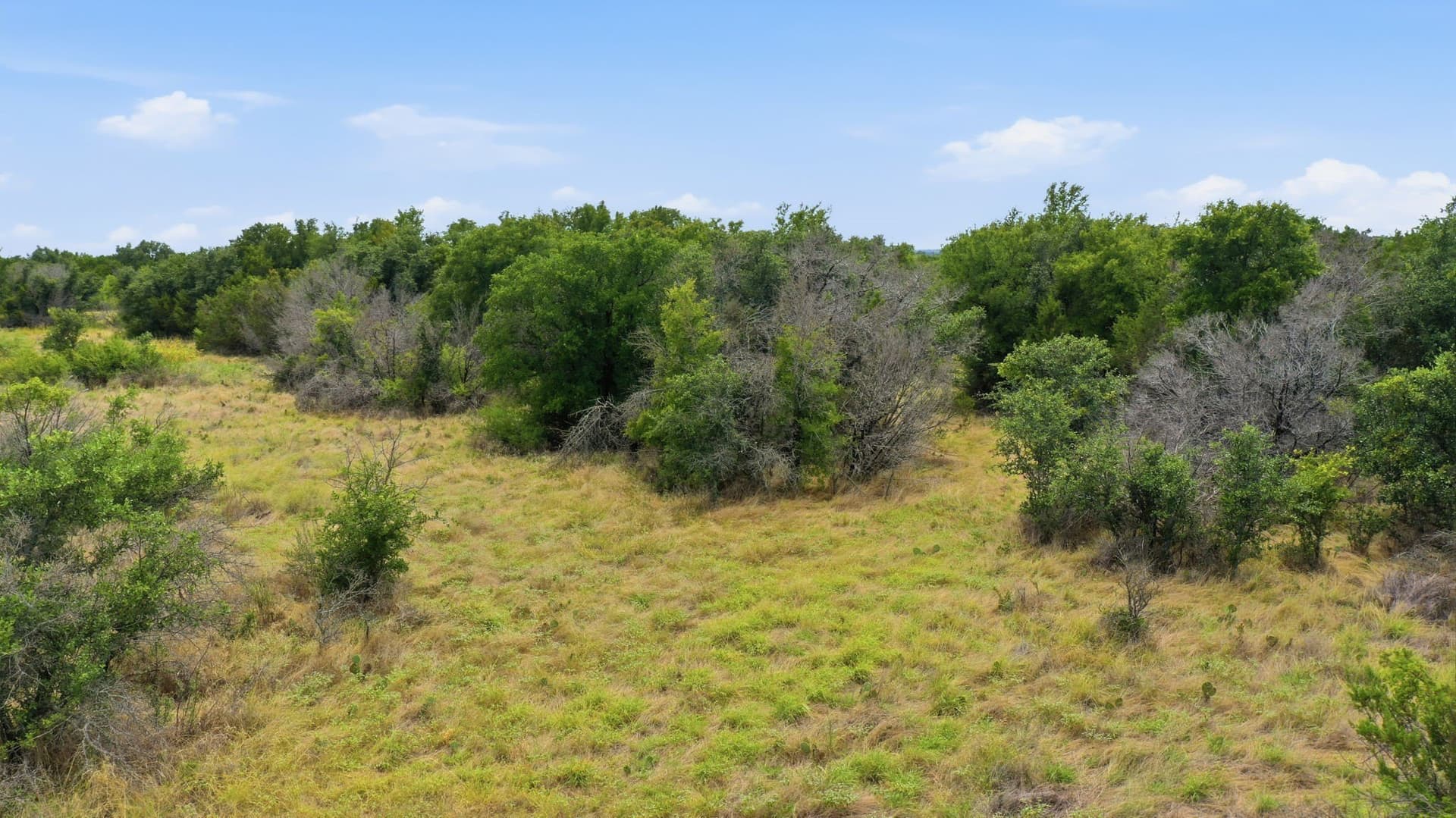 5.04 acres in Erath County - photo 5