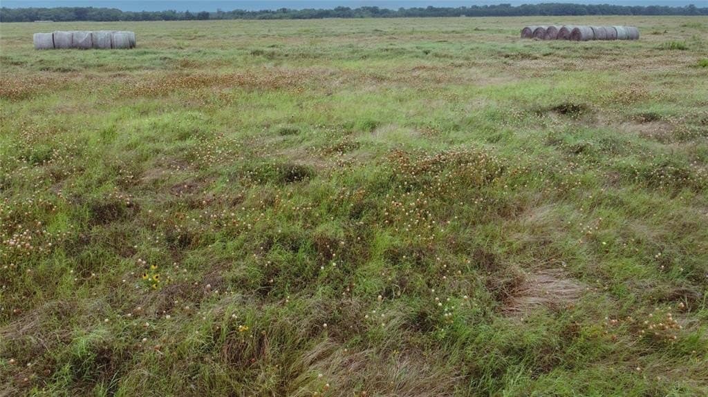 11.69 acres in Delta County gallery image 4