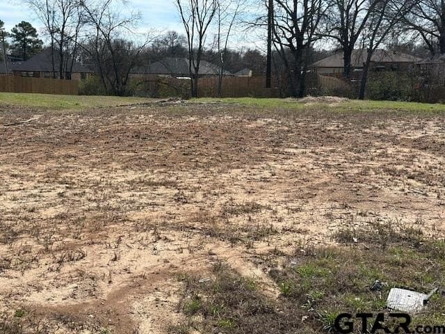 0.29 acres in Titus County gallery image 2