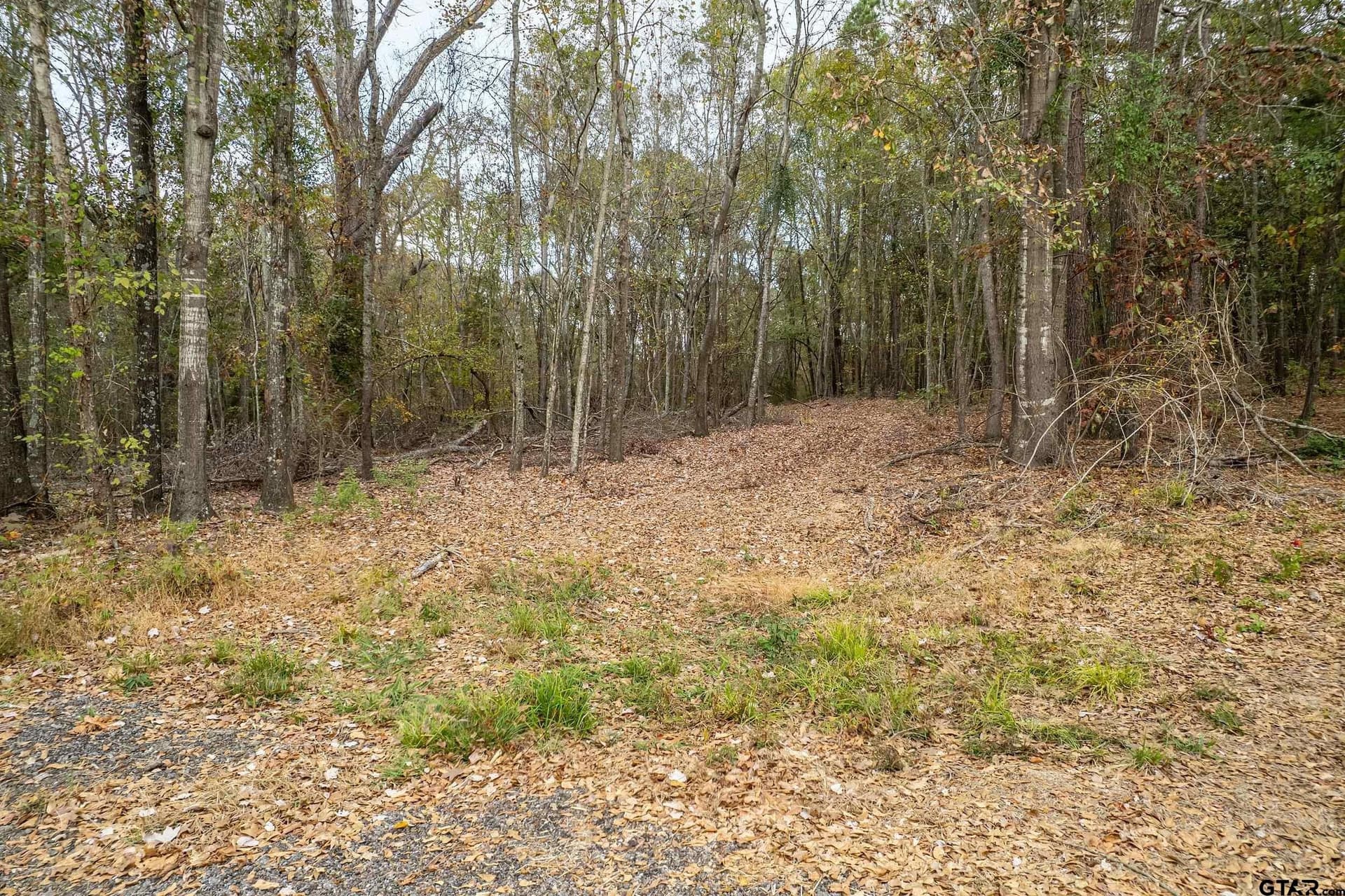 10.12 acres in Smith County gallery image 4