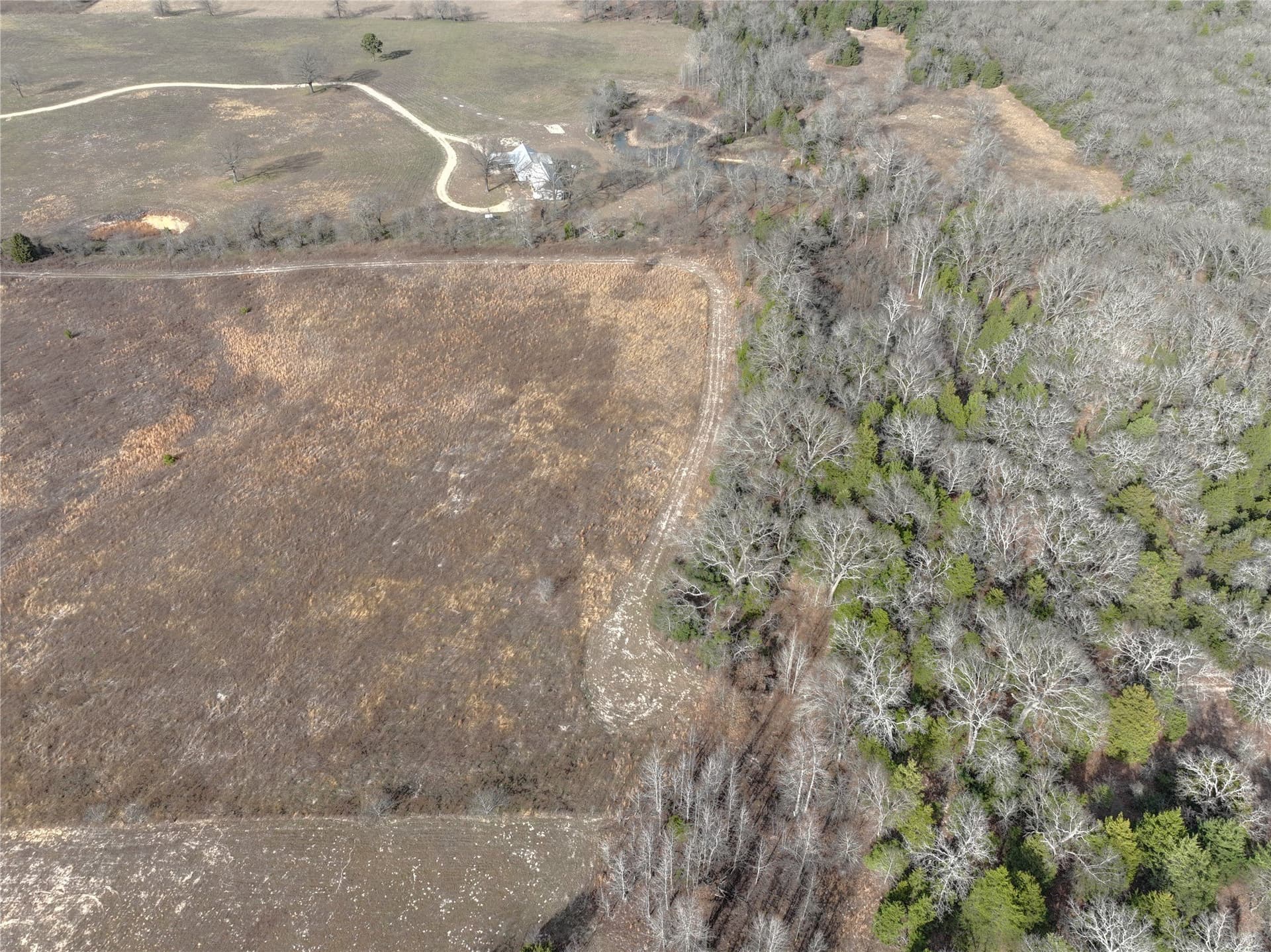 34.41 acres in Wood County - photo 25